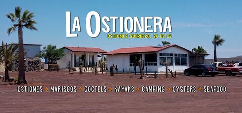 La Ostionera de Bahia Falsa image 3