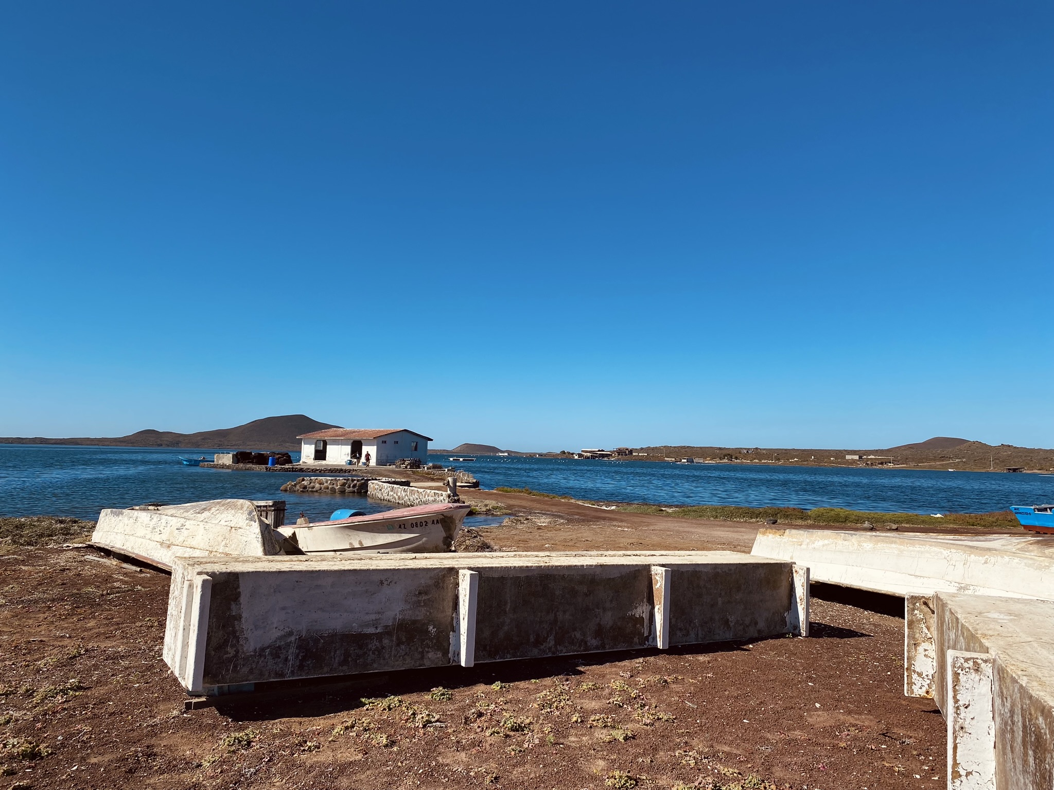 La Ostionera de Bahia Falsa image 6