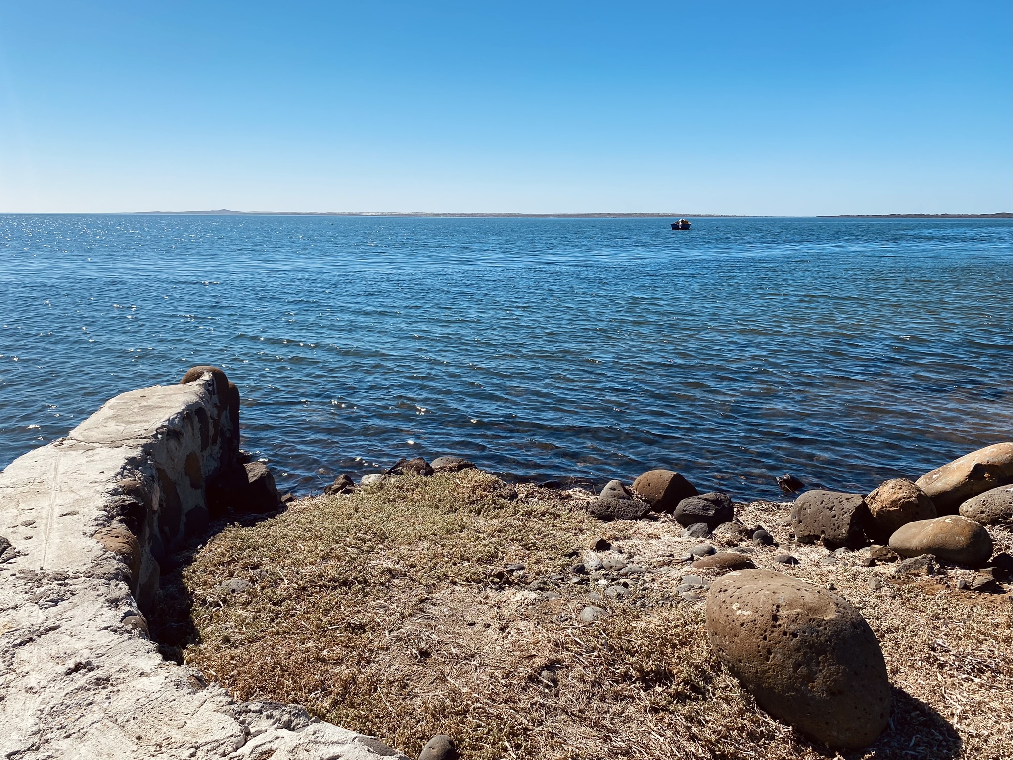 La Ostionera de Bahia Falsa image 8