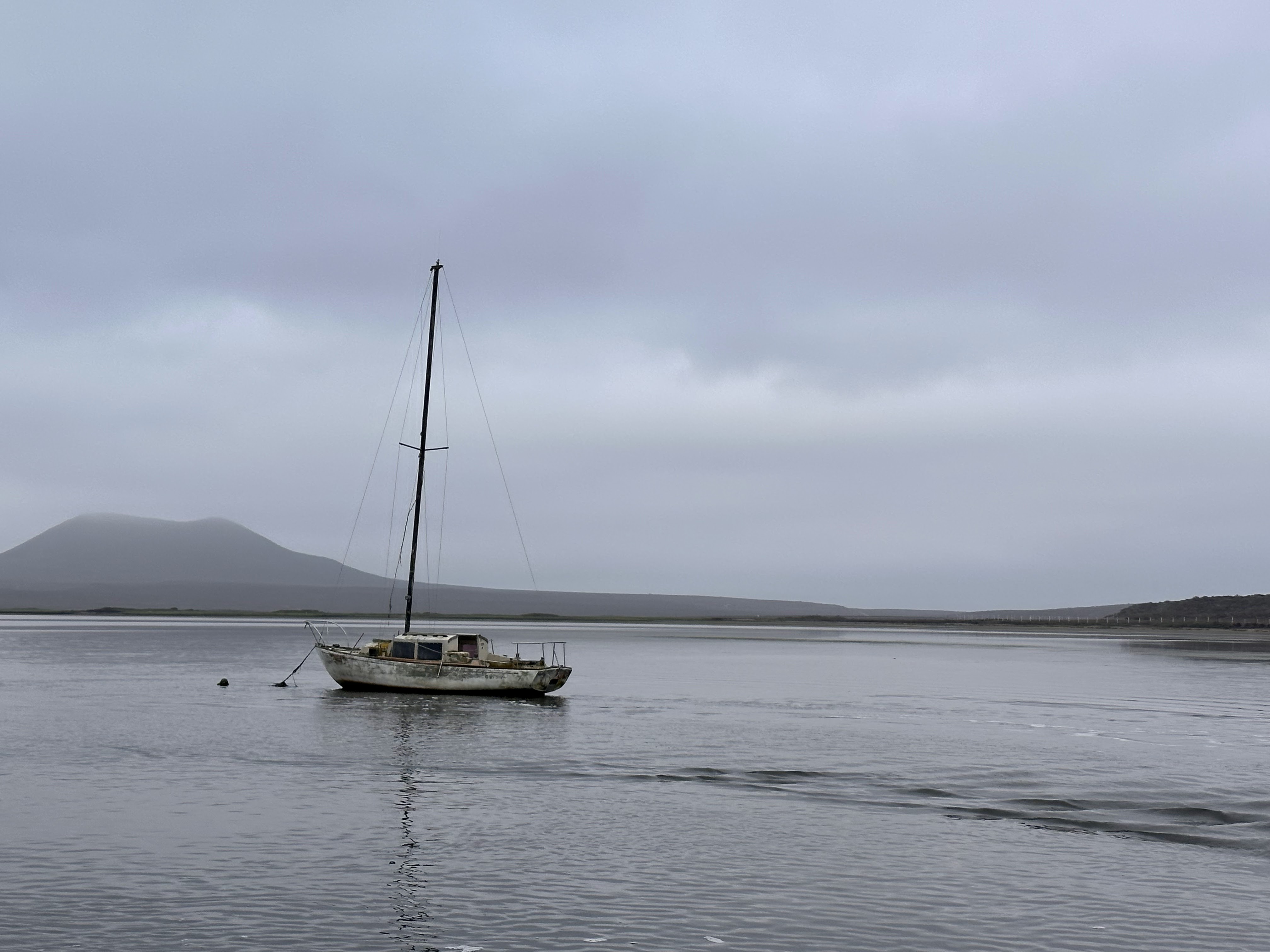 Lulu's Restaurant image 5