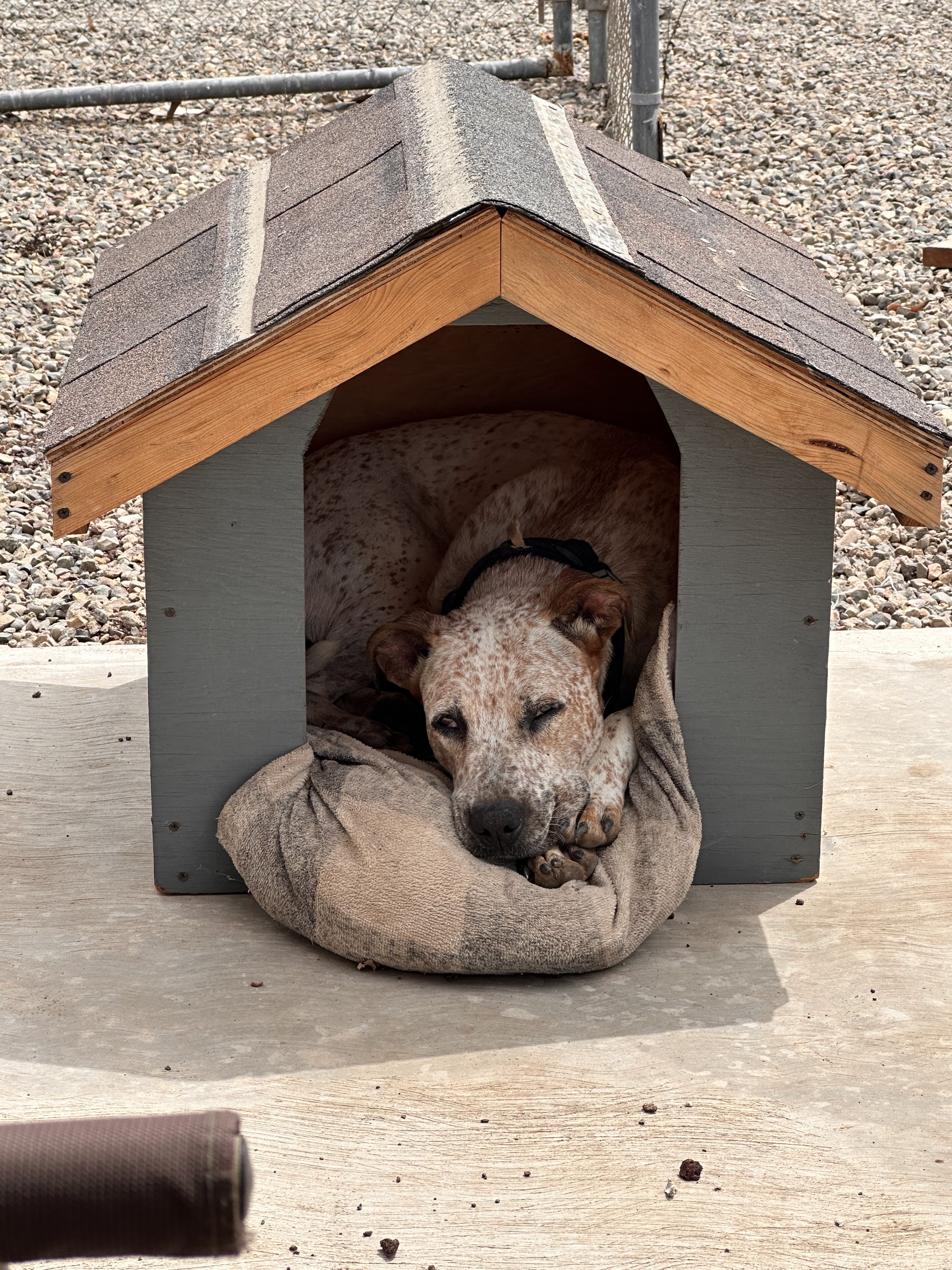 Lulu's Restaurant image 7