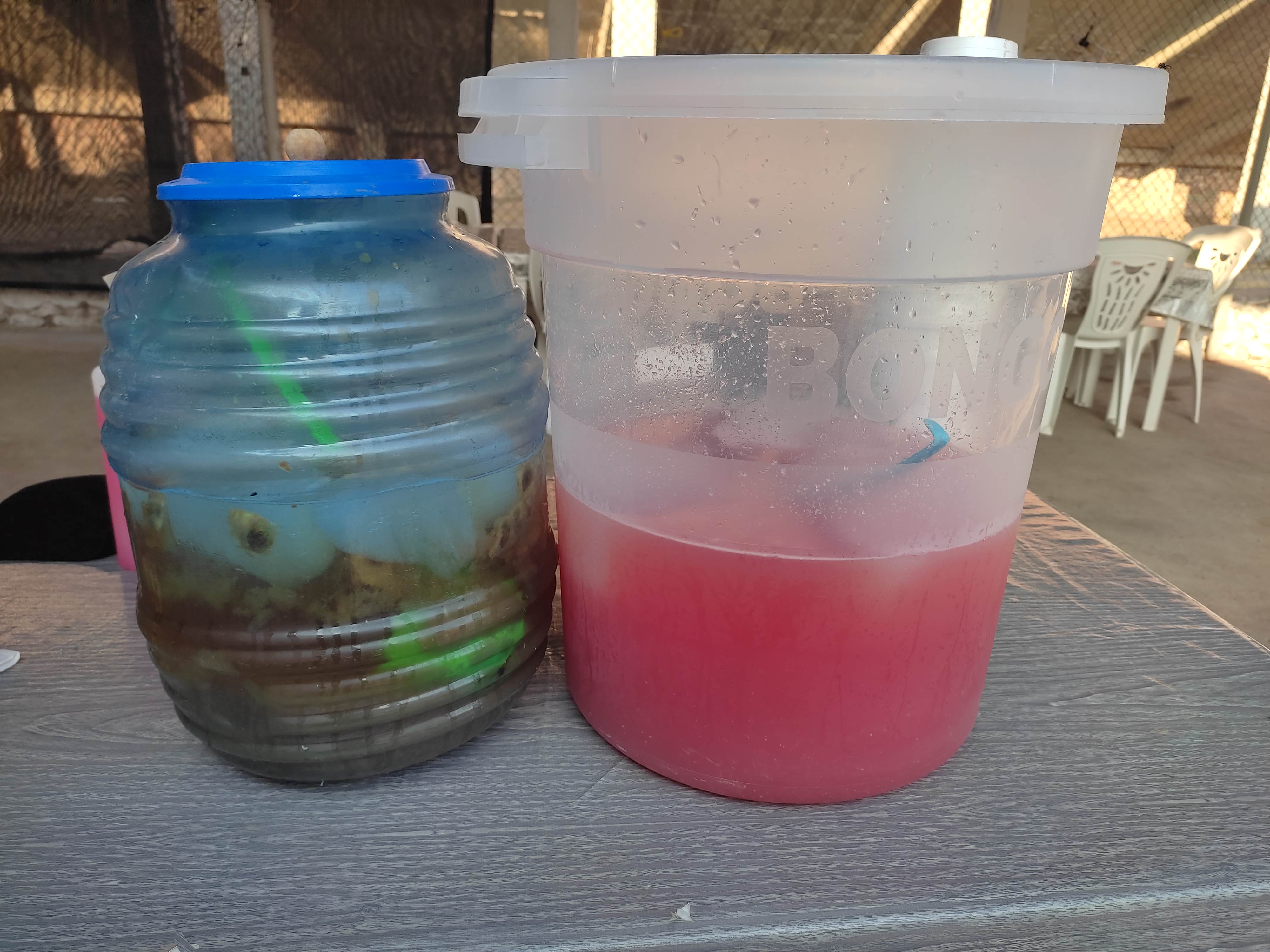 Restaurante "la plaza del pollo yoyo" image 9