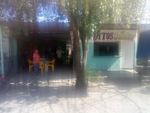 El Donky image 2