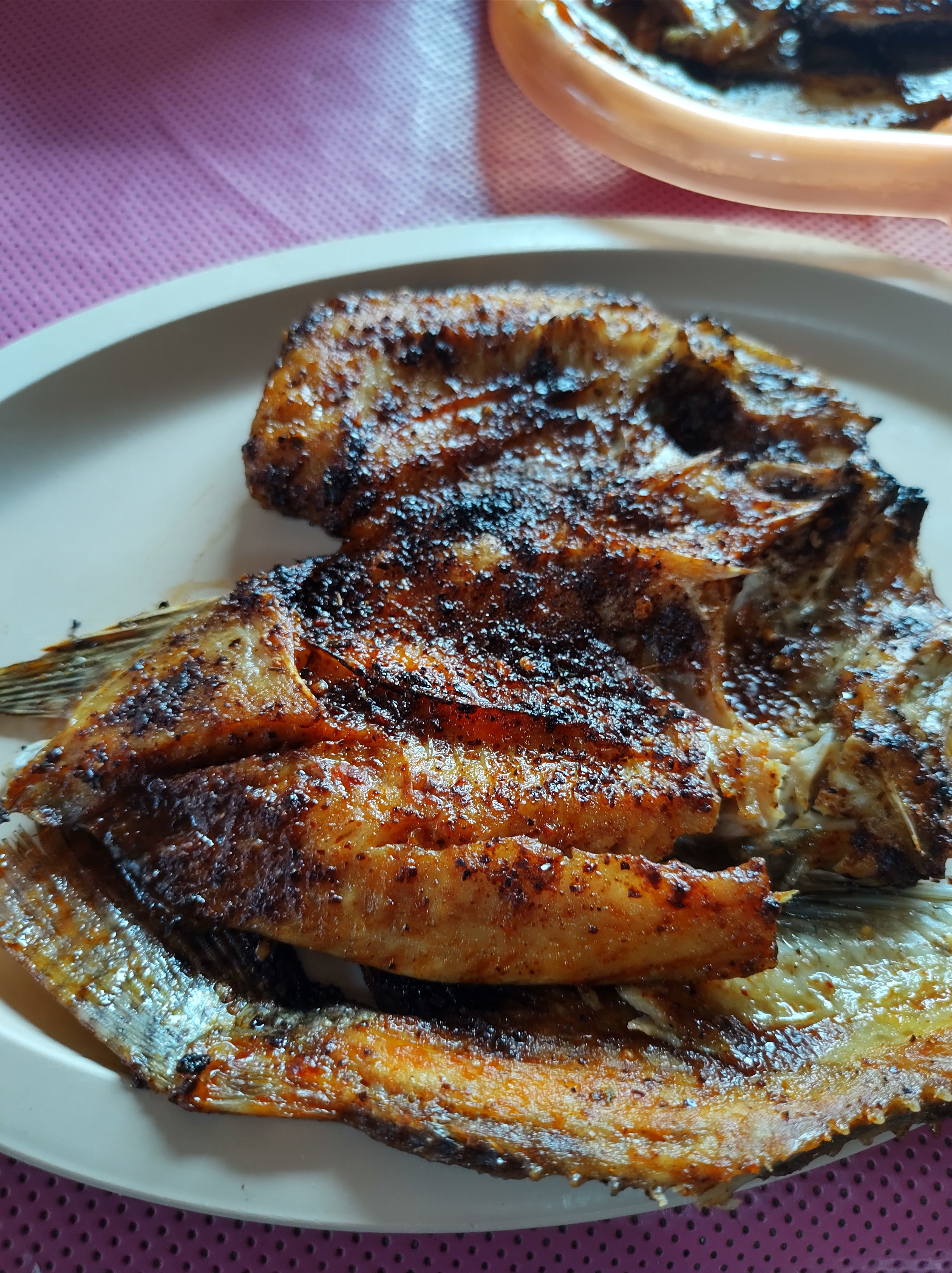 La Riviera Del Balsas image 2