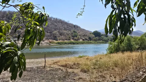 La Riviera Del Balsas image 7
