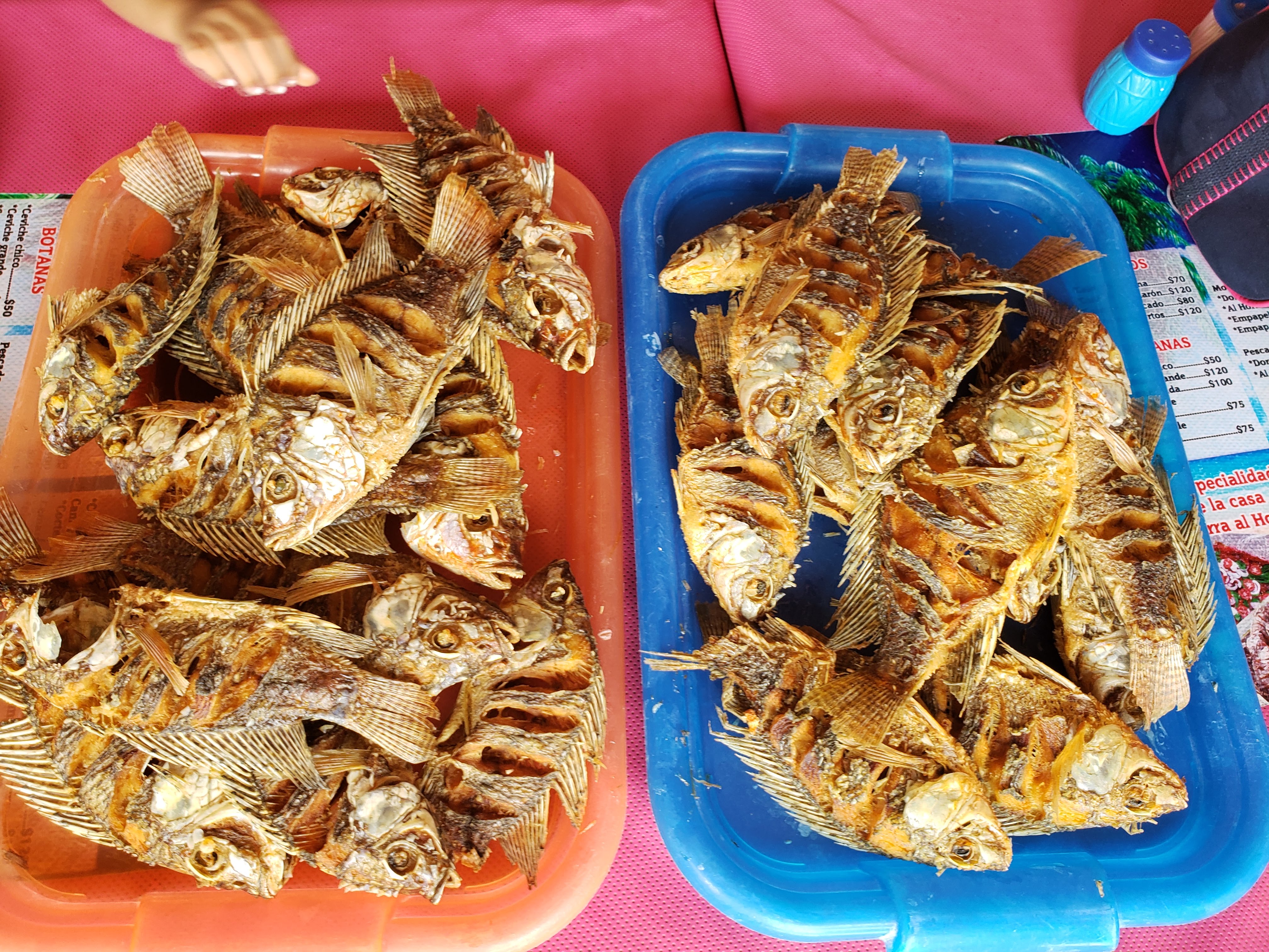 La Riviera Del Balsas image 8