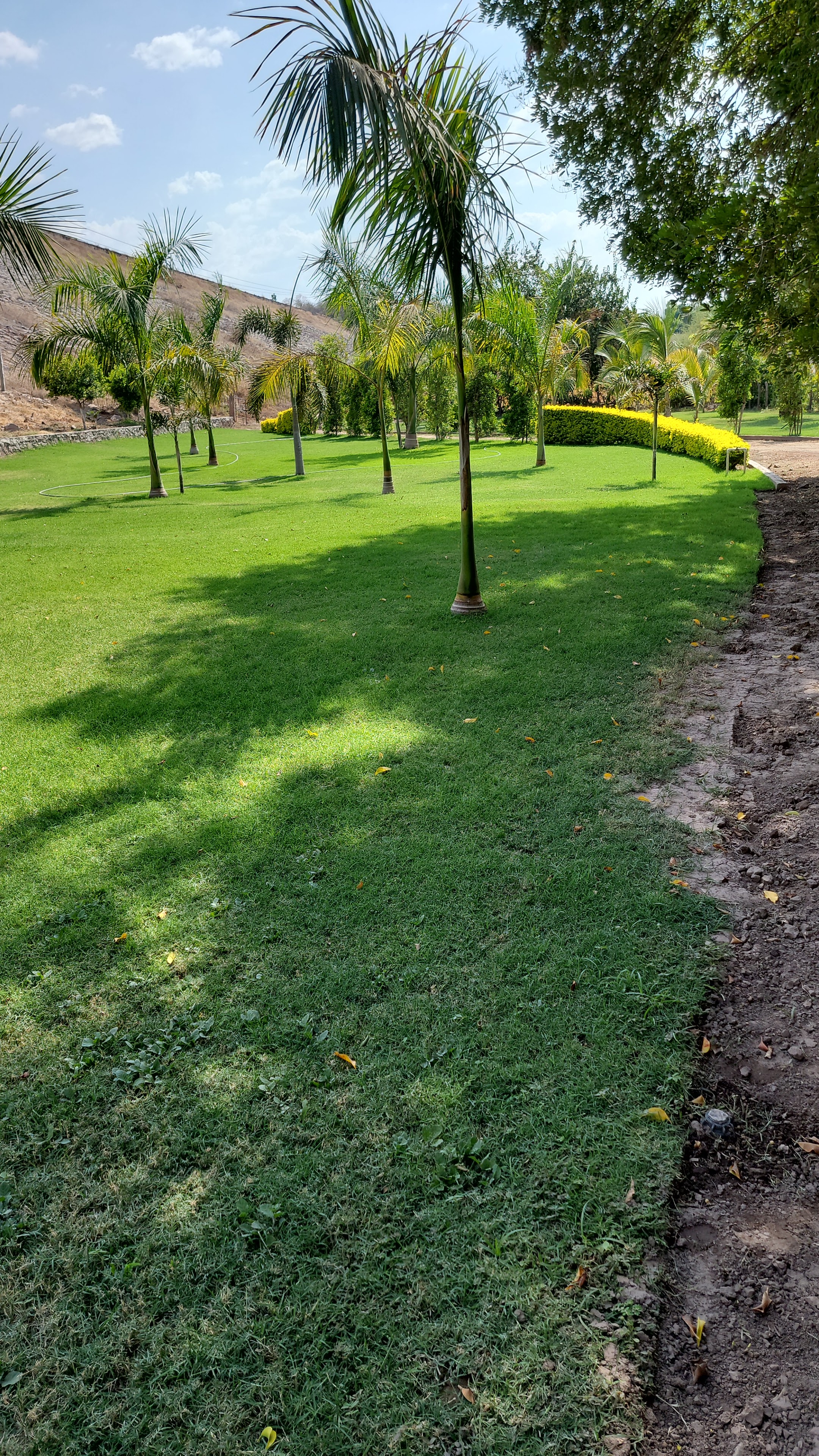 Balneario y Restaurante el Manantial image 3