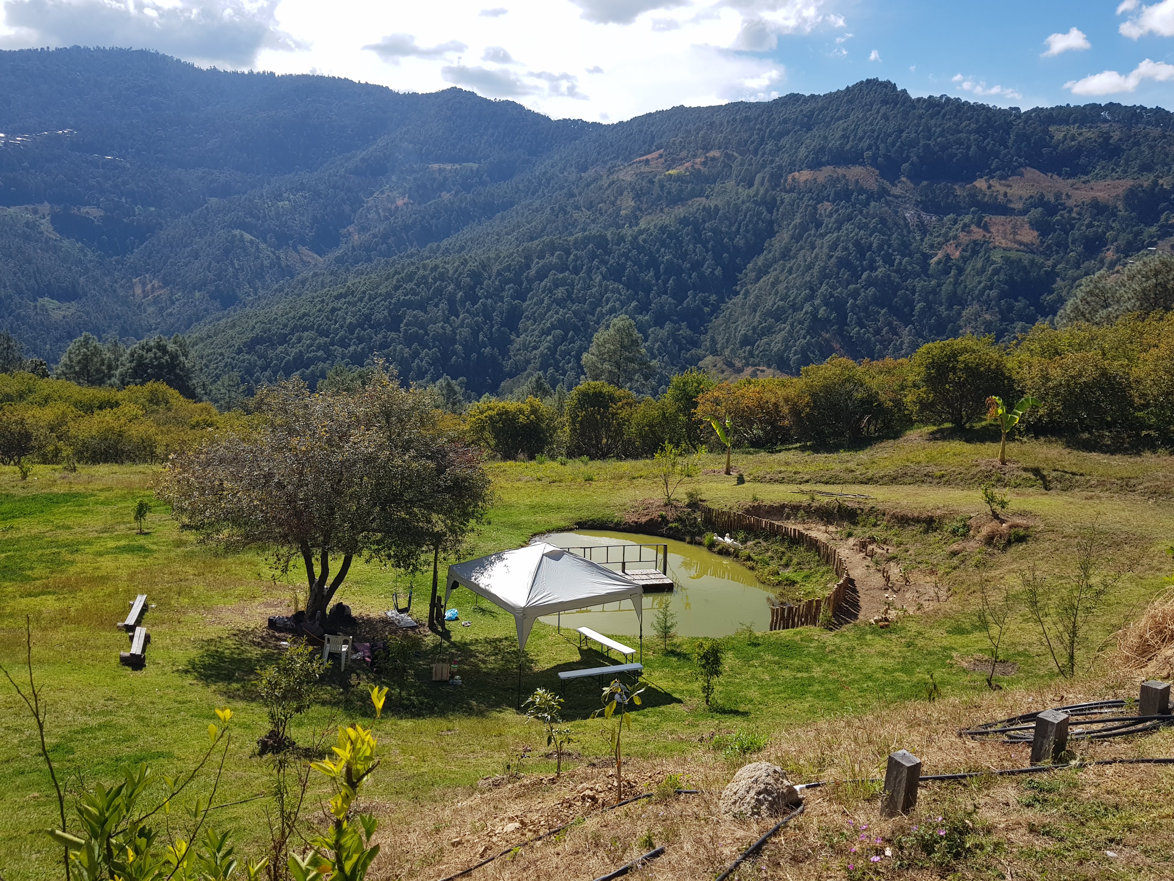 Casa la torre image 2