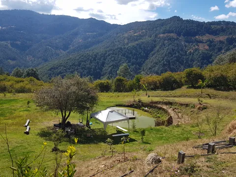Casa la torre image 2