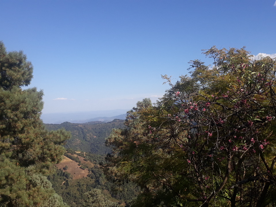 Casa la torre image 3