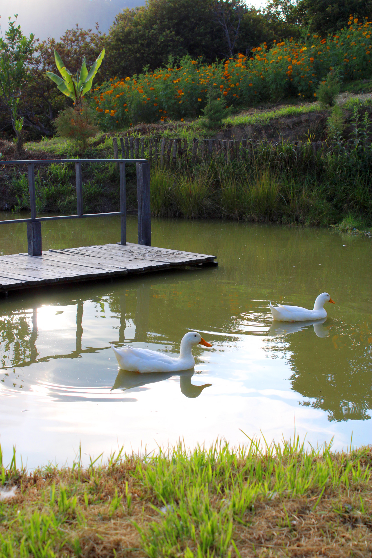 Casa la torre image 4