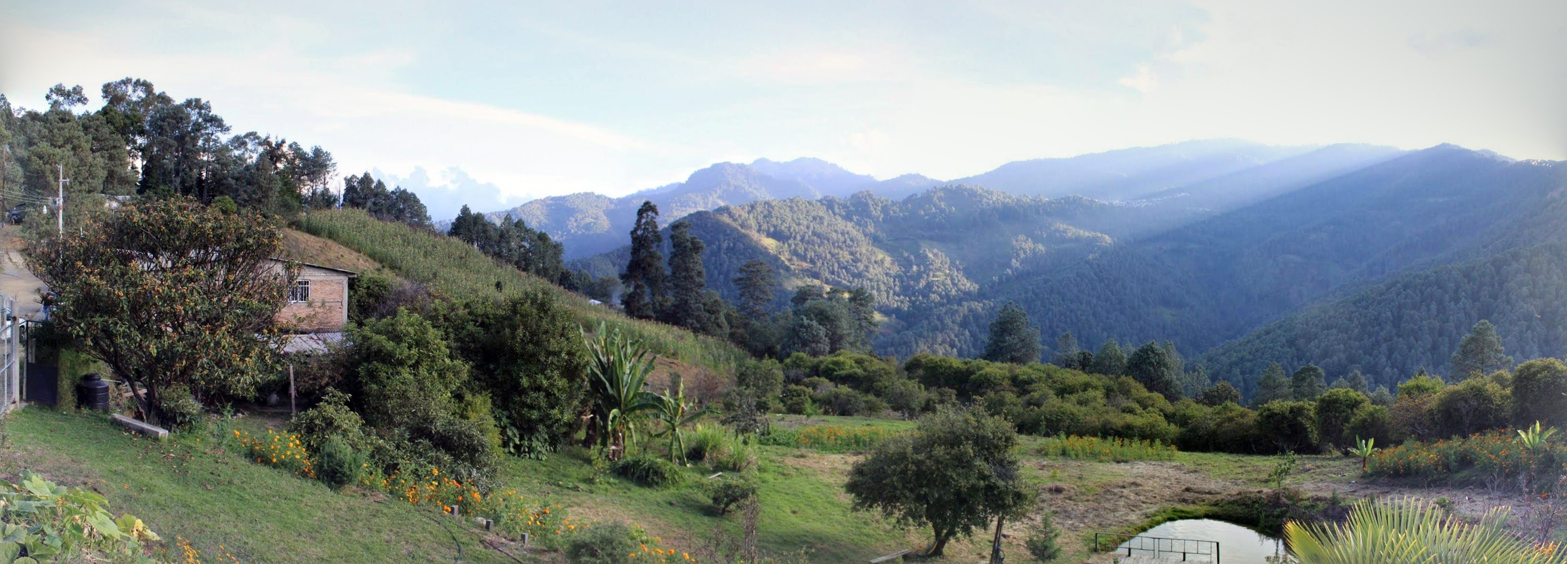Casa la torre image 5