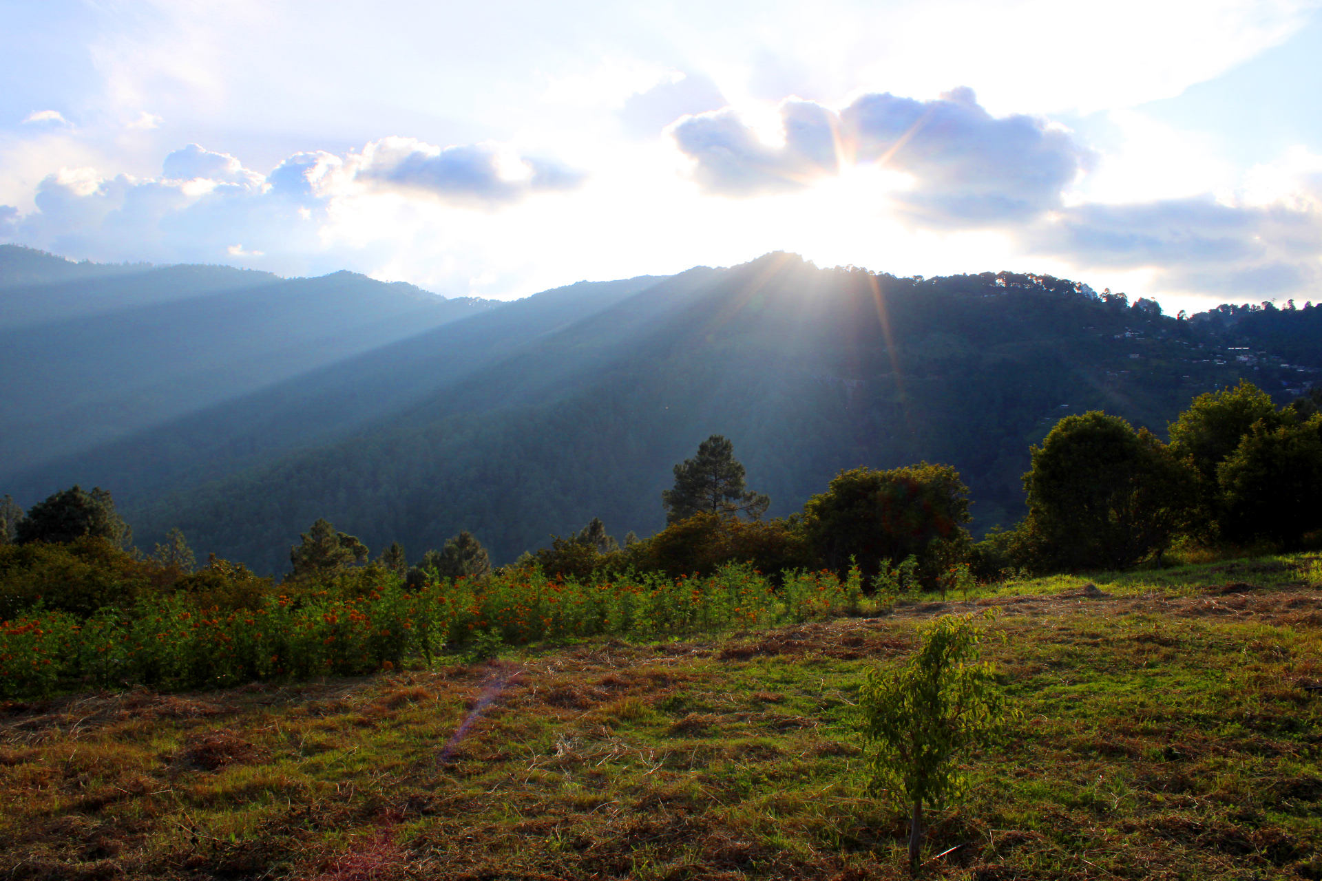 Casa la torre image 6