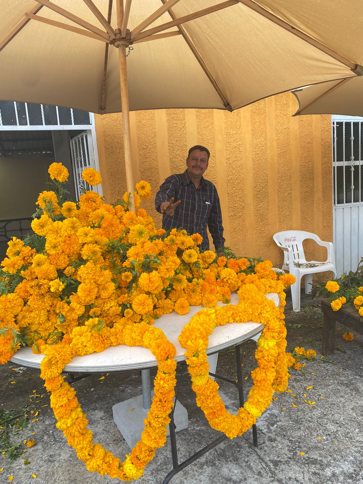 Casa la torre image 7