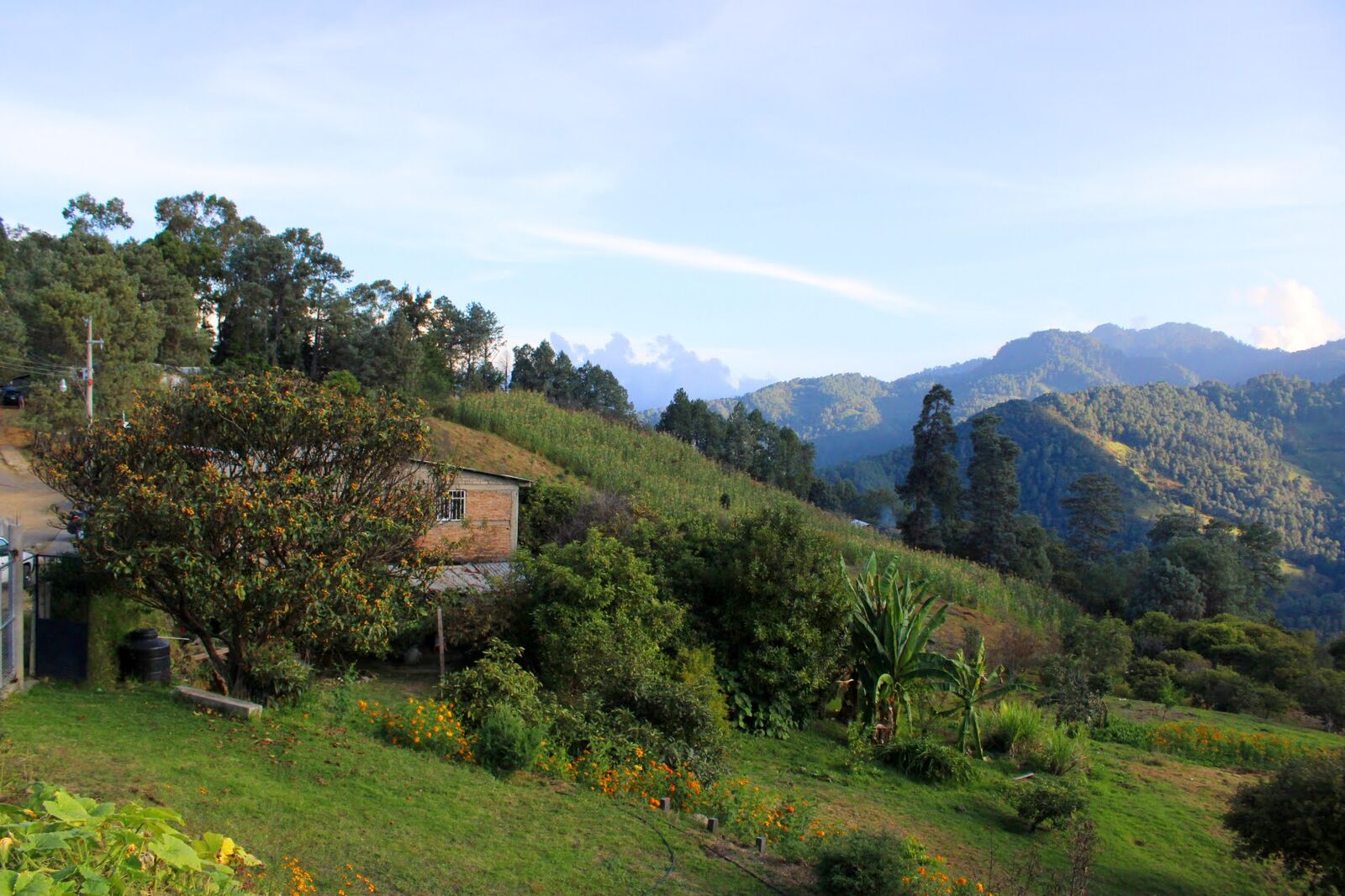 Casa la torre image 8