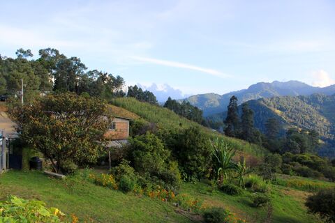 Casa la torre image 8