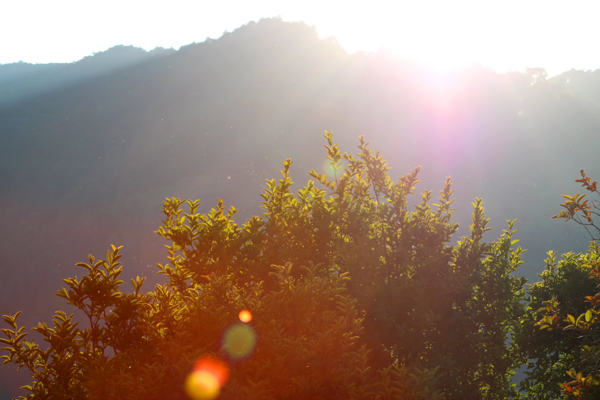 Casa la torre image 9