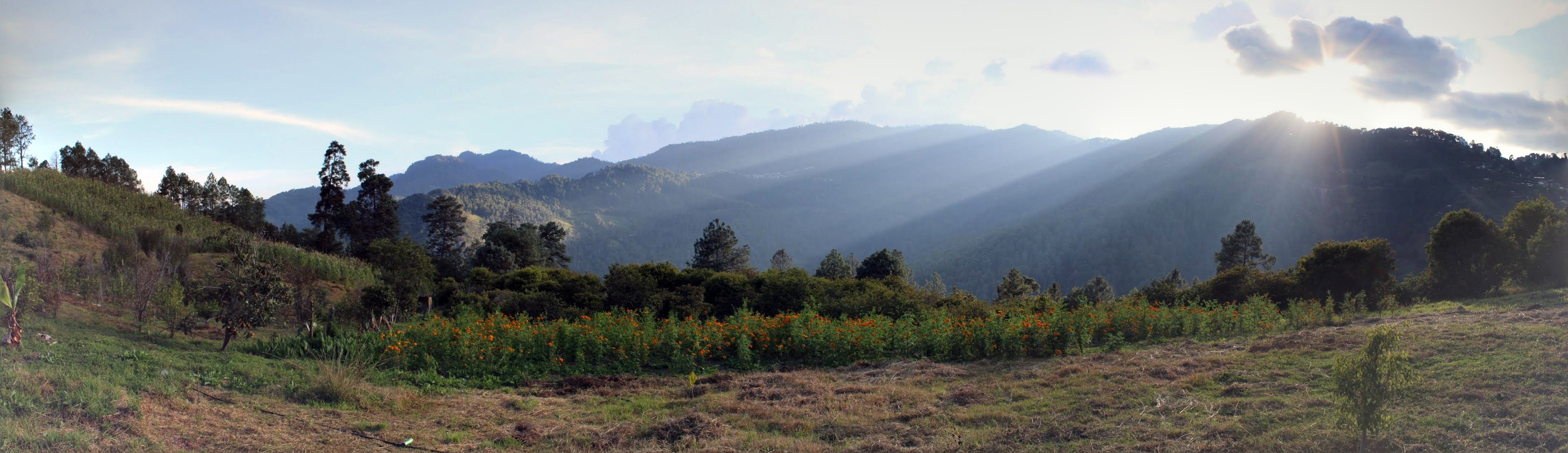 Casa la torre image 10