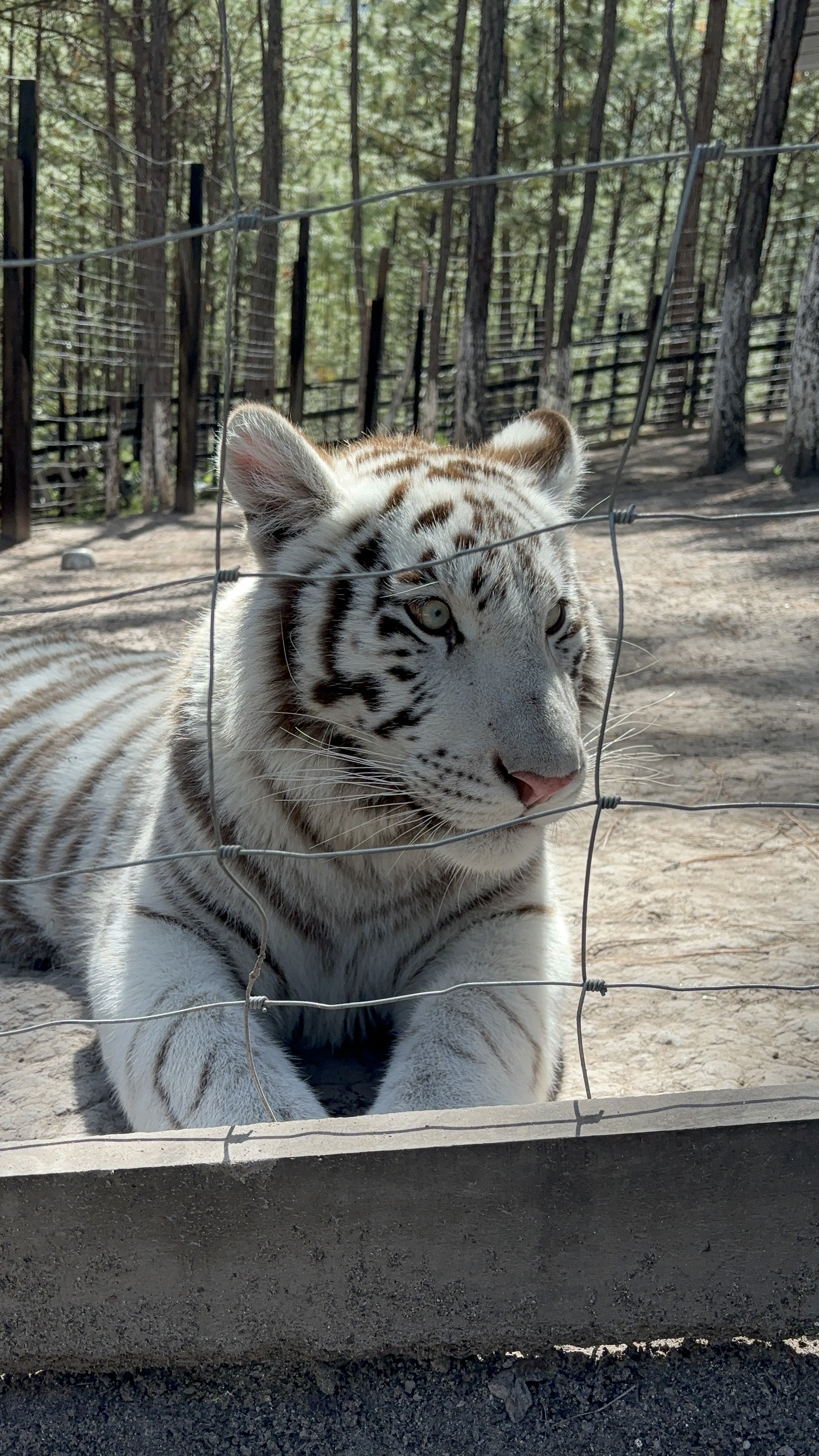 Xocoparque ecoturístico image 8