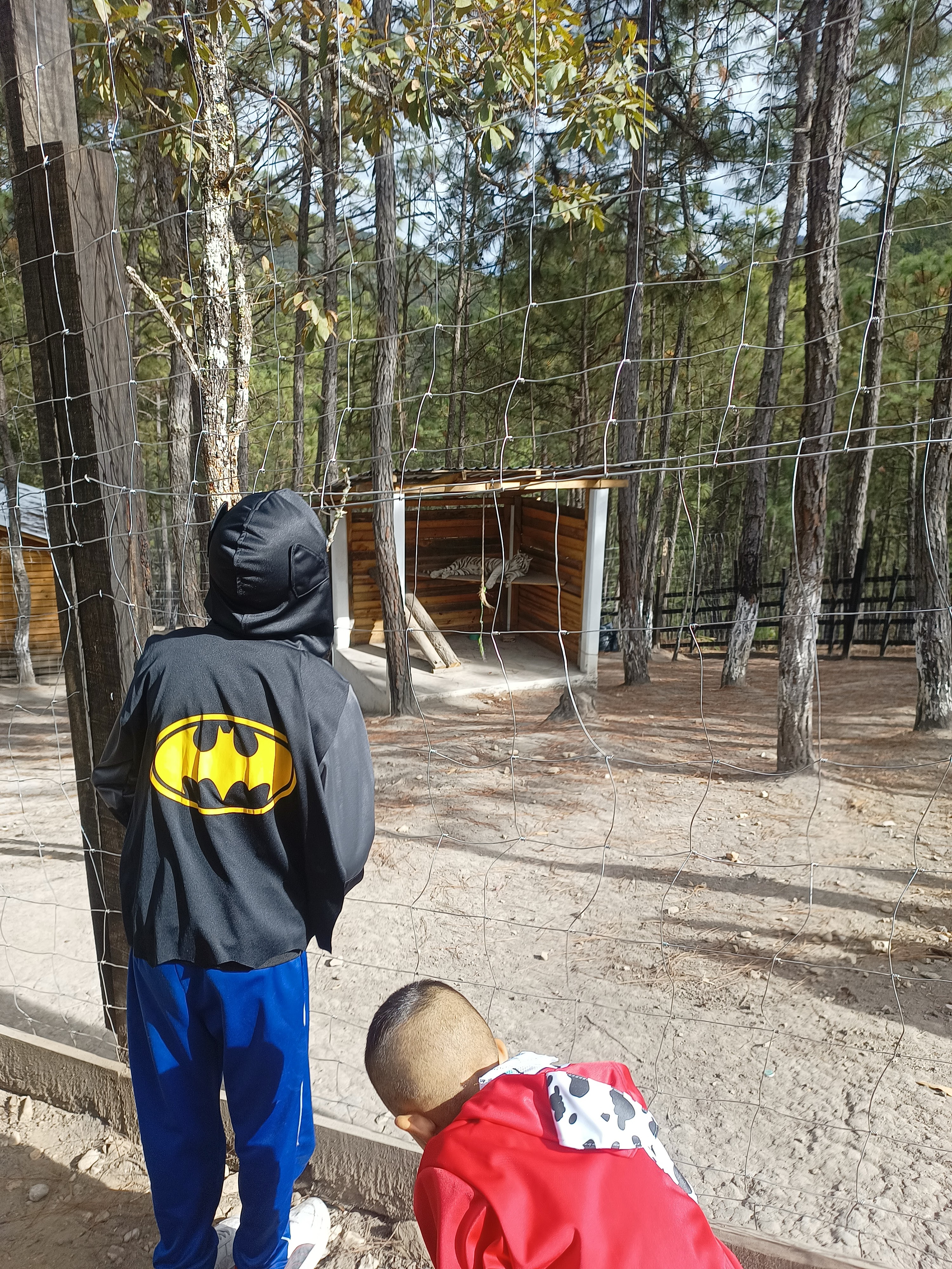 Xocoparque ecoturístico image 9