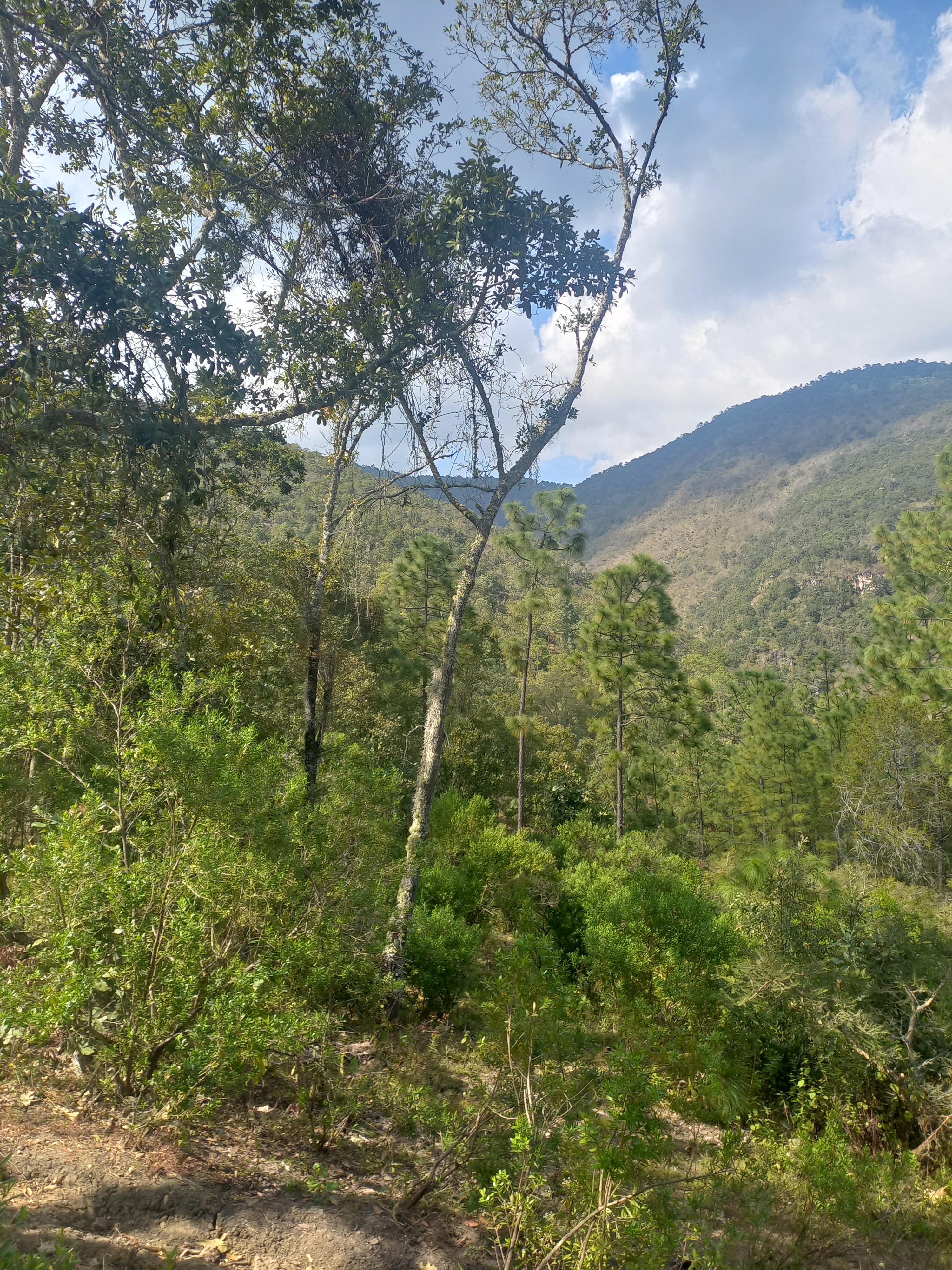 UN RINCÓN CERCA DEL CIELO. image 6