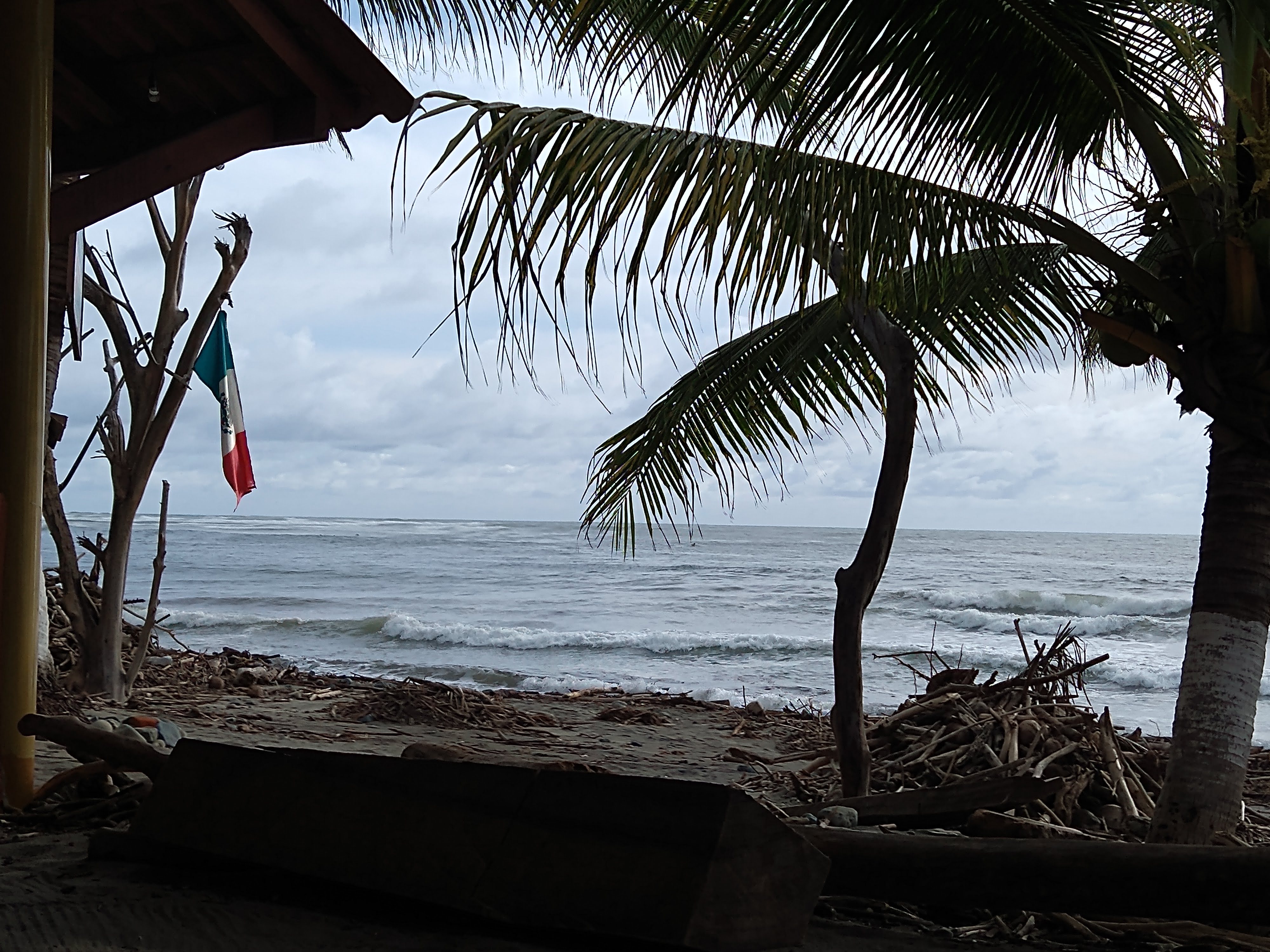 Ilianet Restaurant & Bar image 9