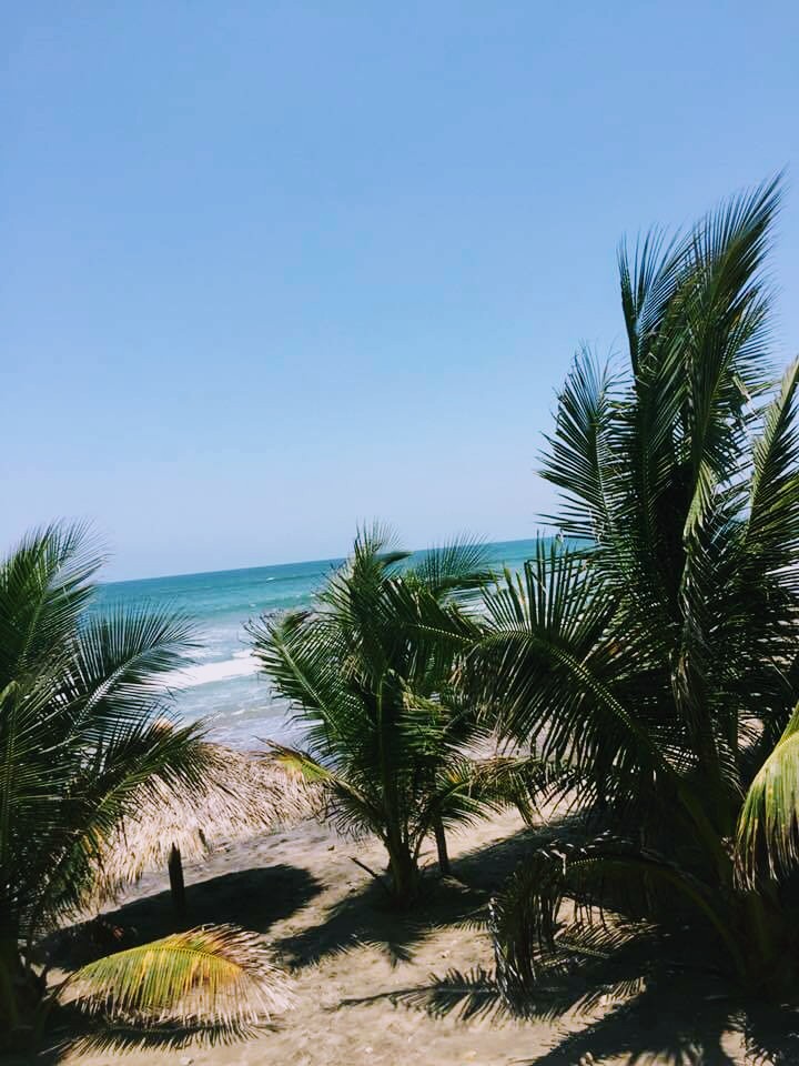 Enramada Yanet image 3