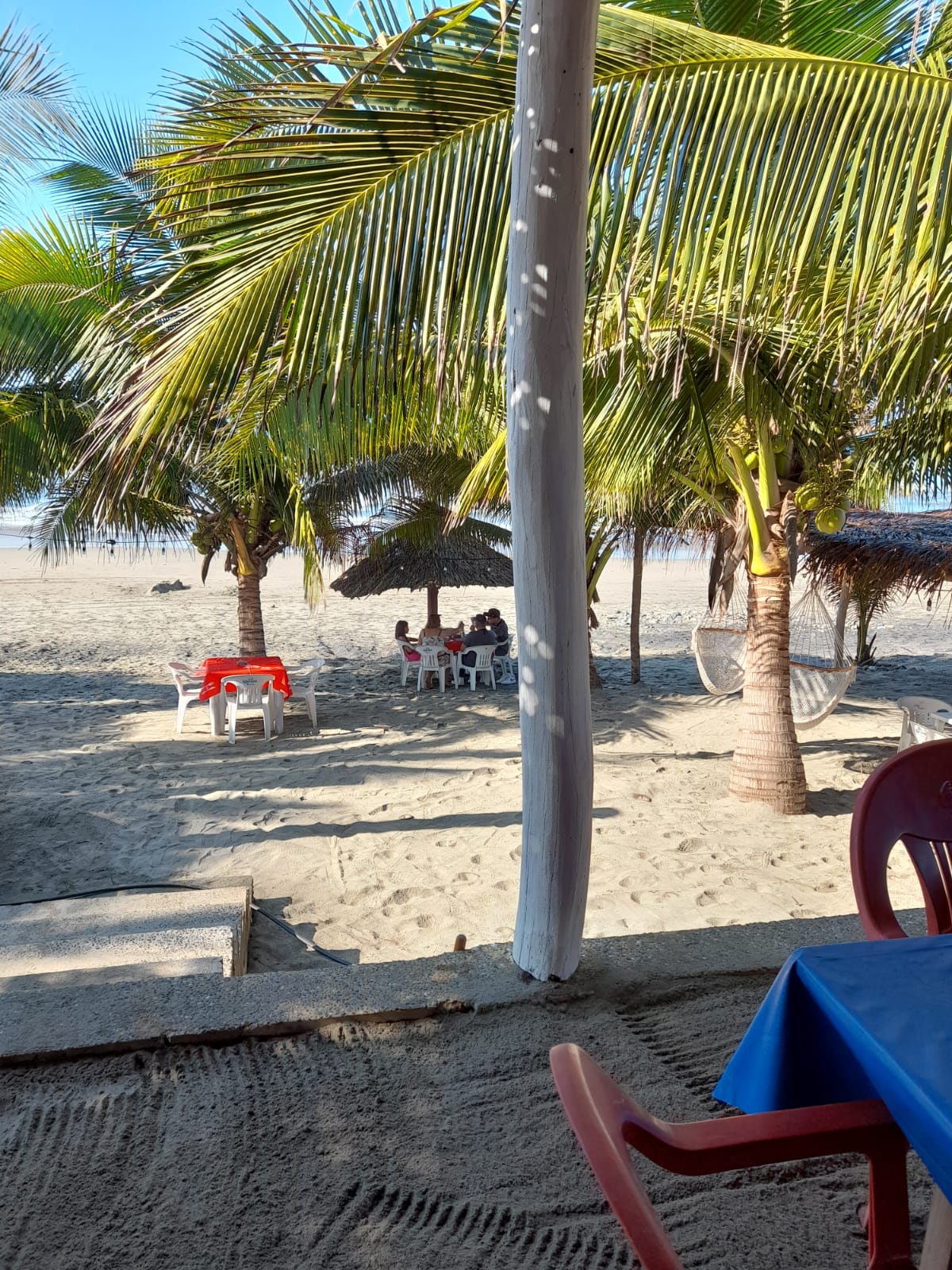 Enramada Yanet image 4