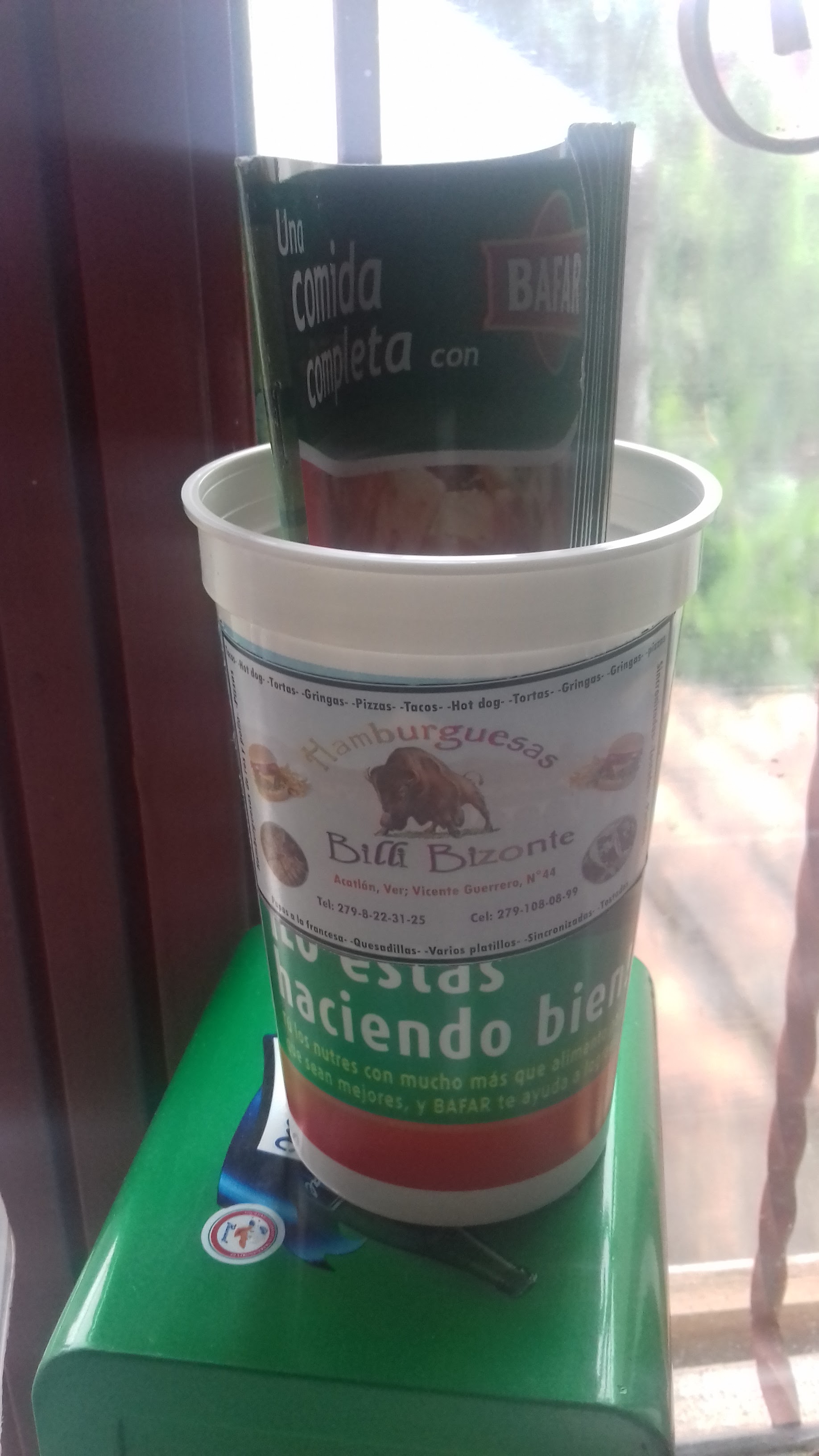 Billy Bizonte image 6