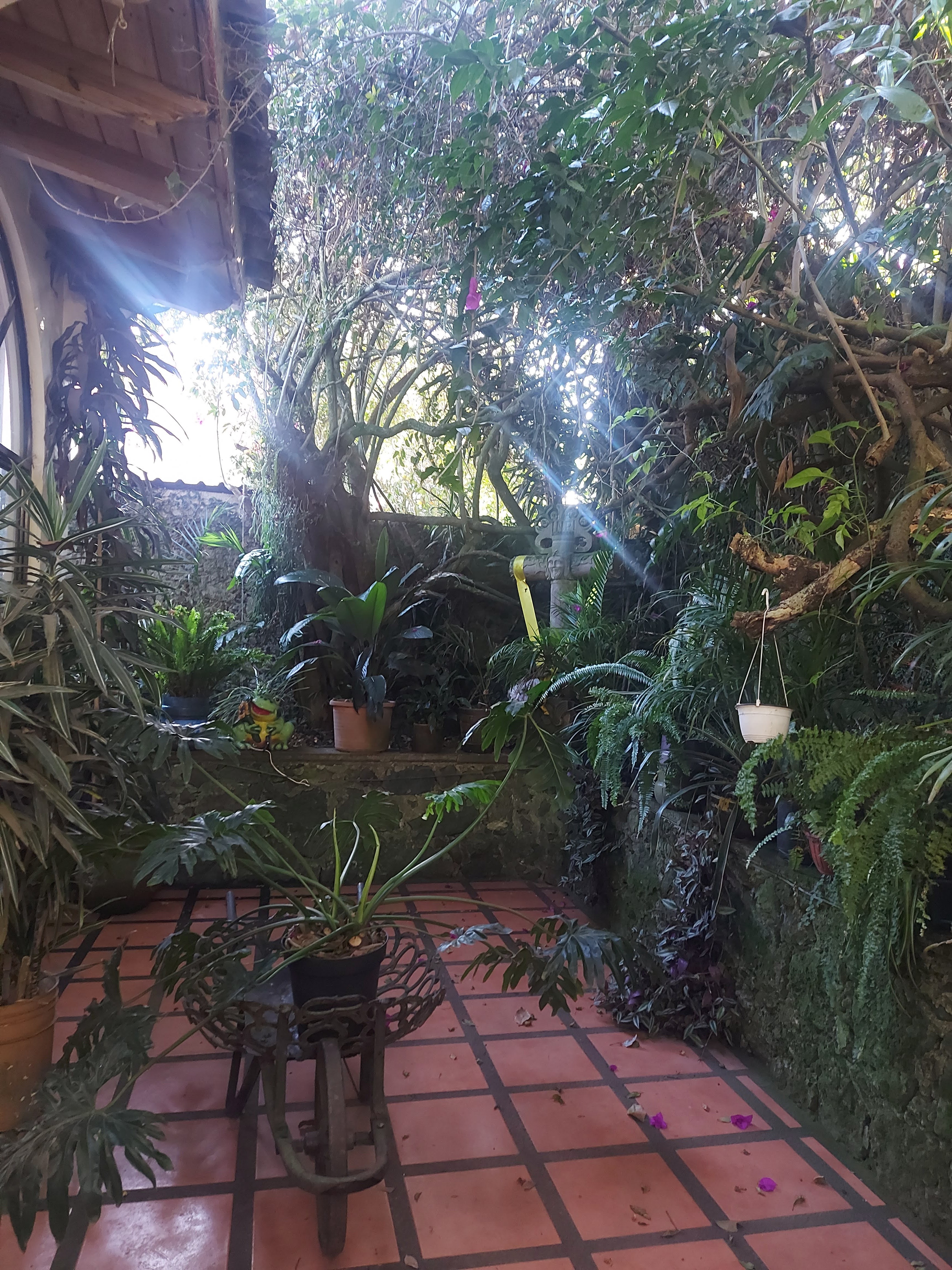 La Quinta Karla Josefina image 9