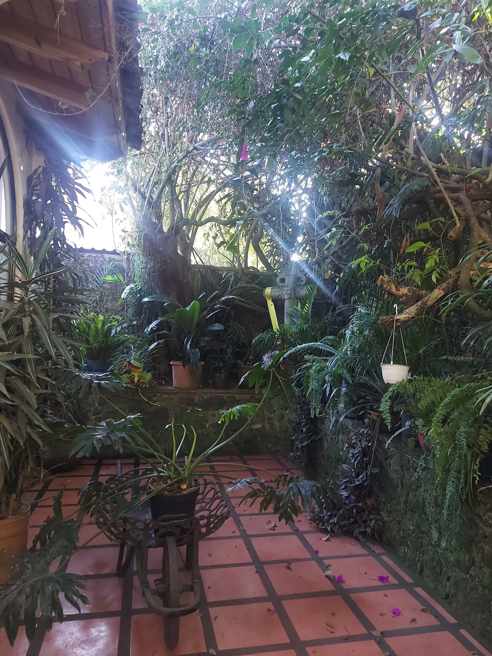 La Quinta Karla Josefina image 9