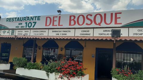 Del Bosque image 3