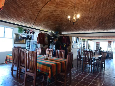 Del Bosque image 5