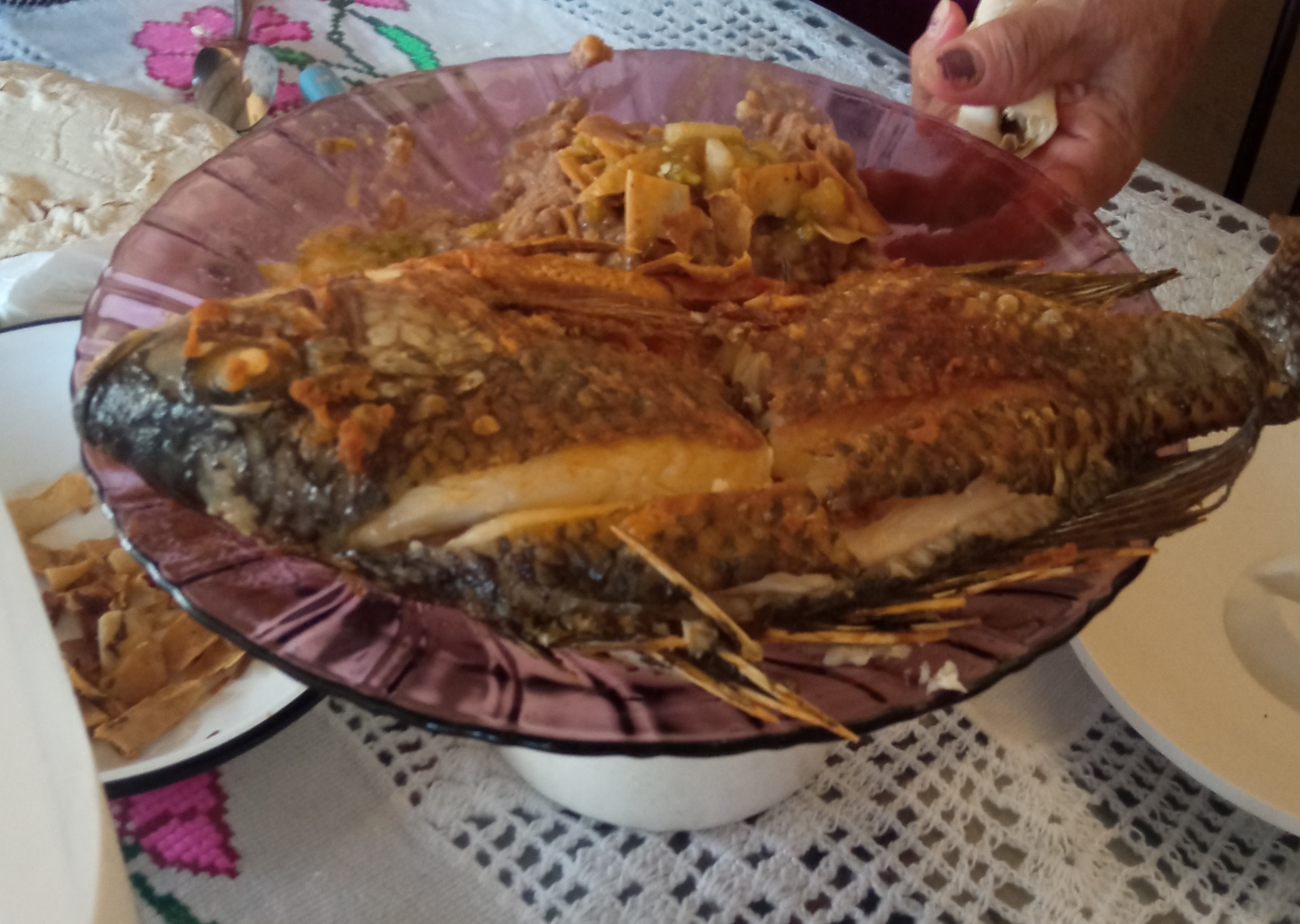 Comida Casera Laurita image 2