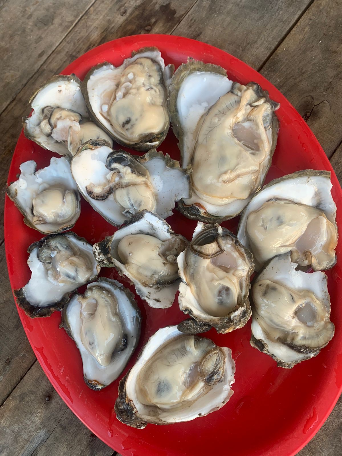 Mariscos El ojo de agua image 3