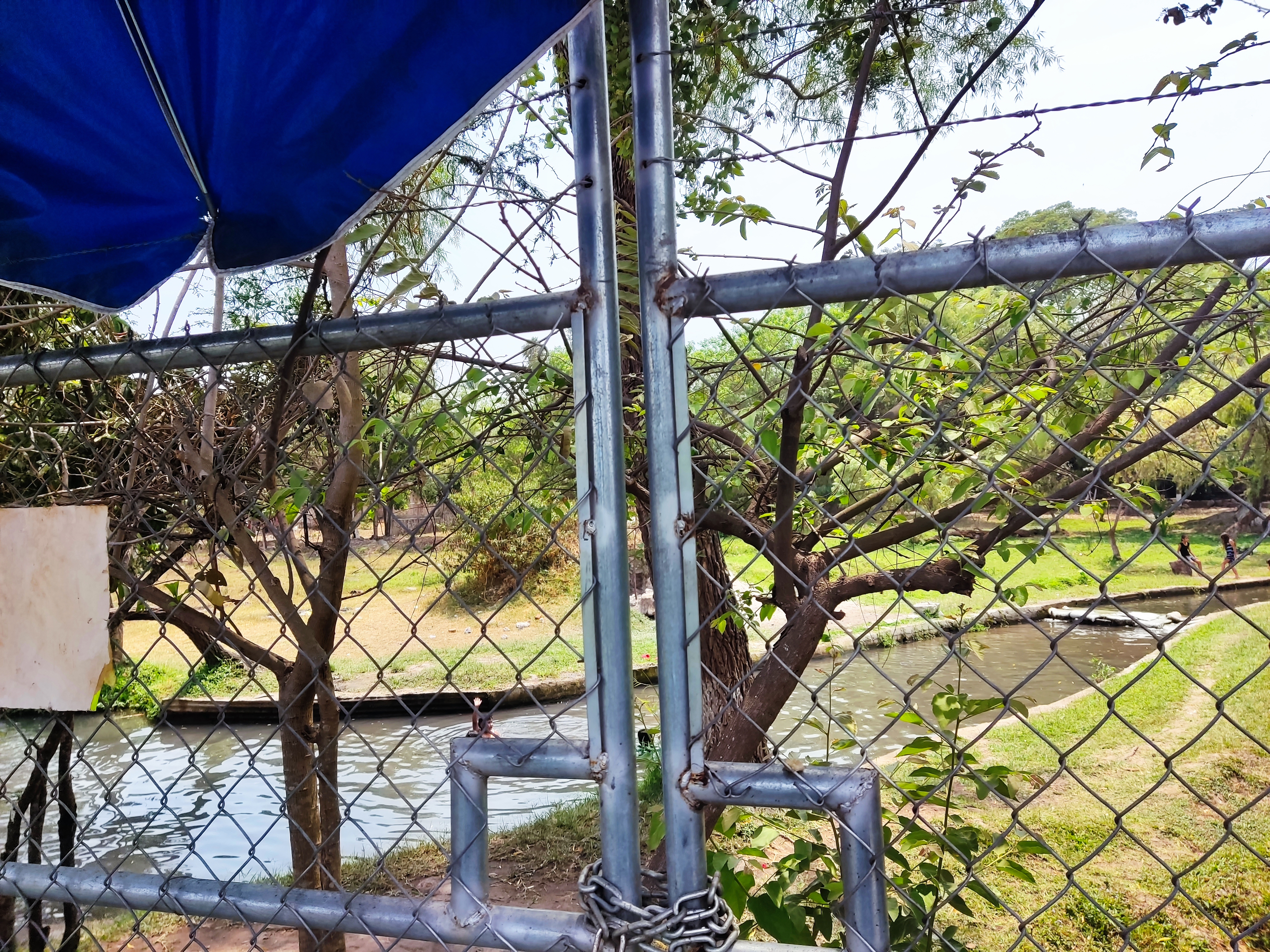 Mariscos El ojo de agua image 5