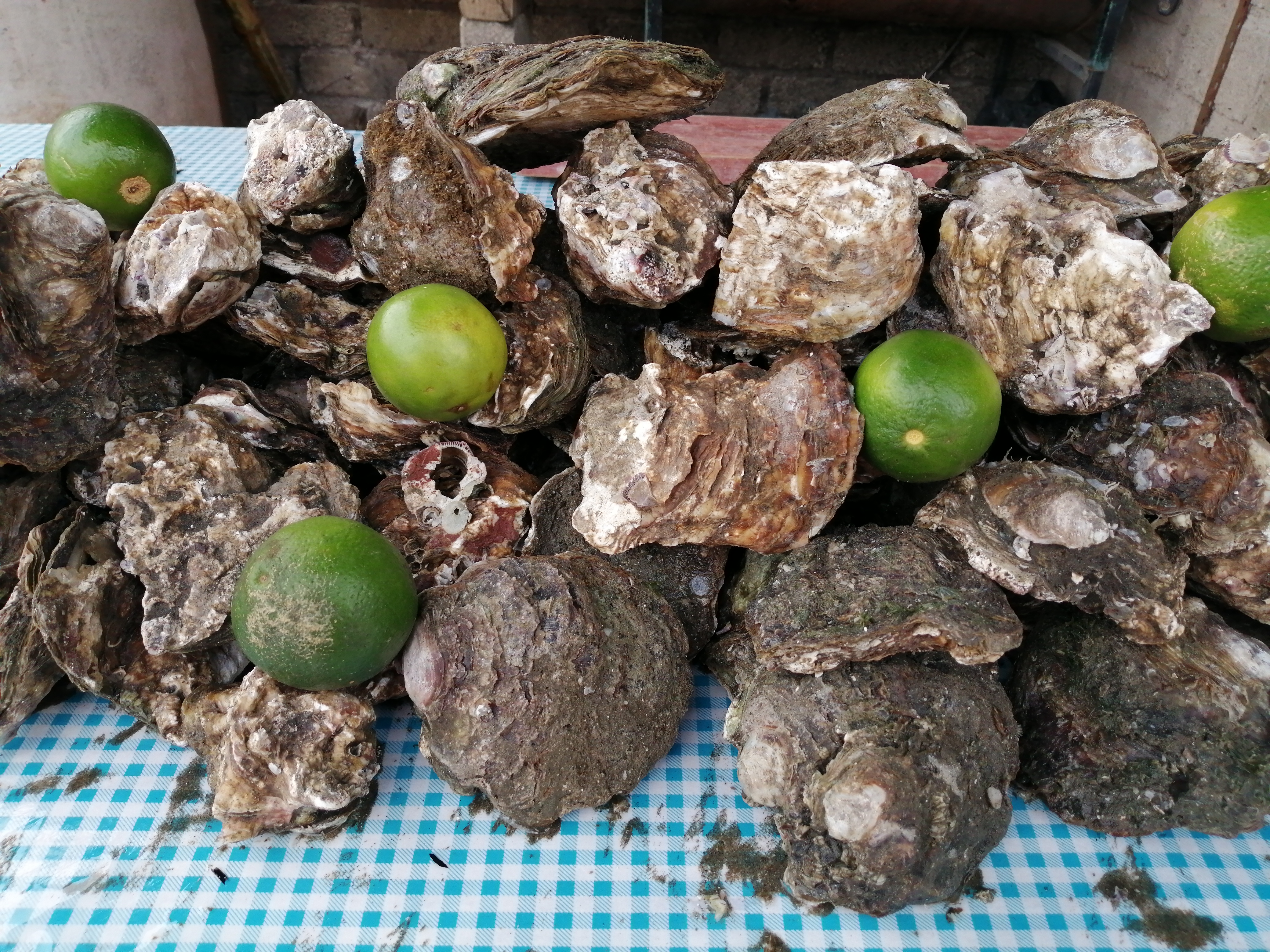 Mariscos El ojo de agua image 7