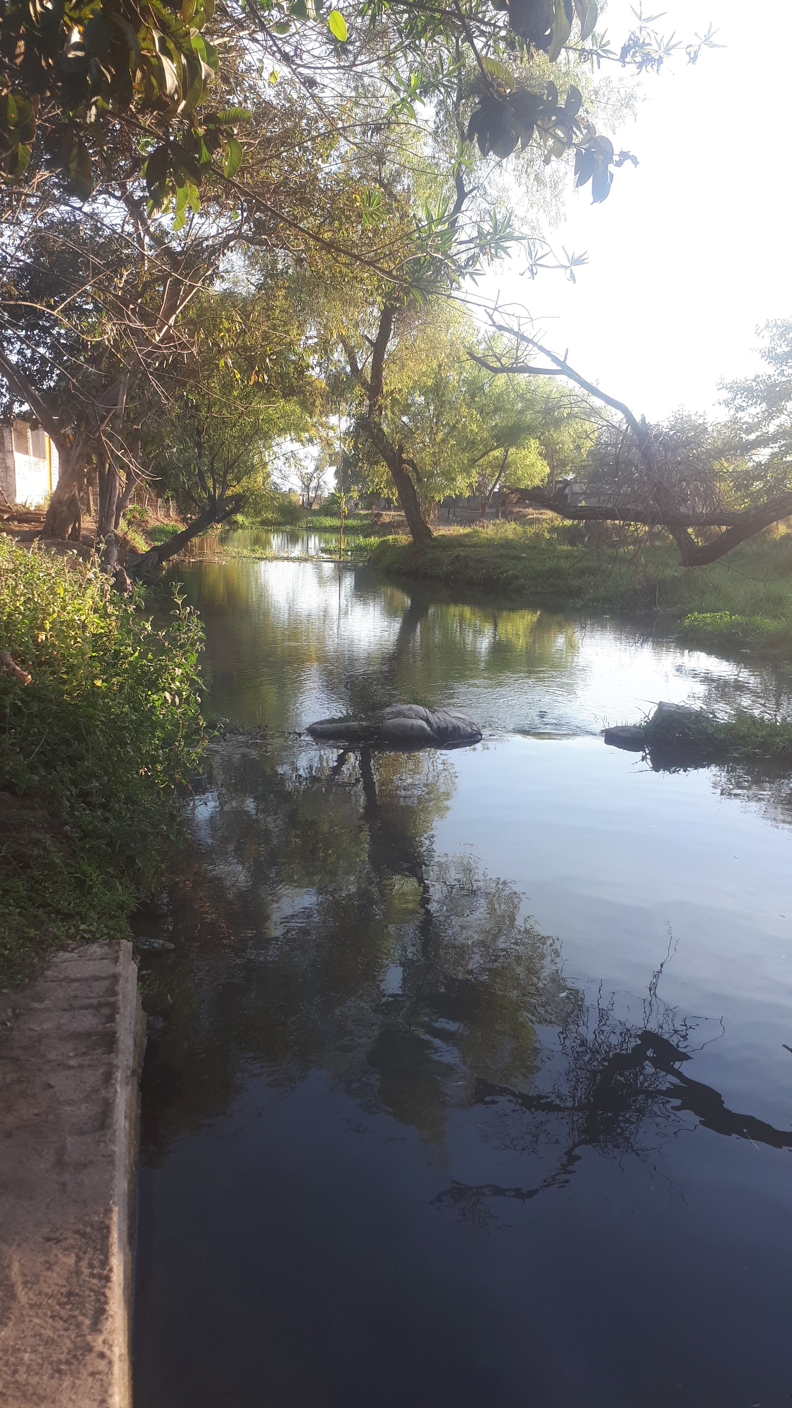 Mariscos El ojo de agua image 9