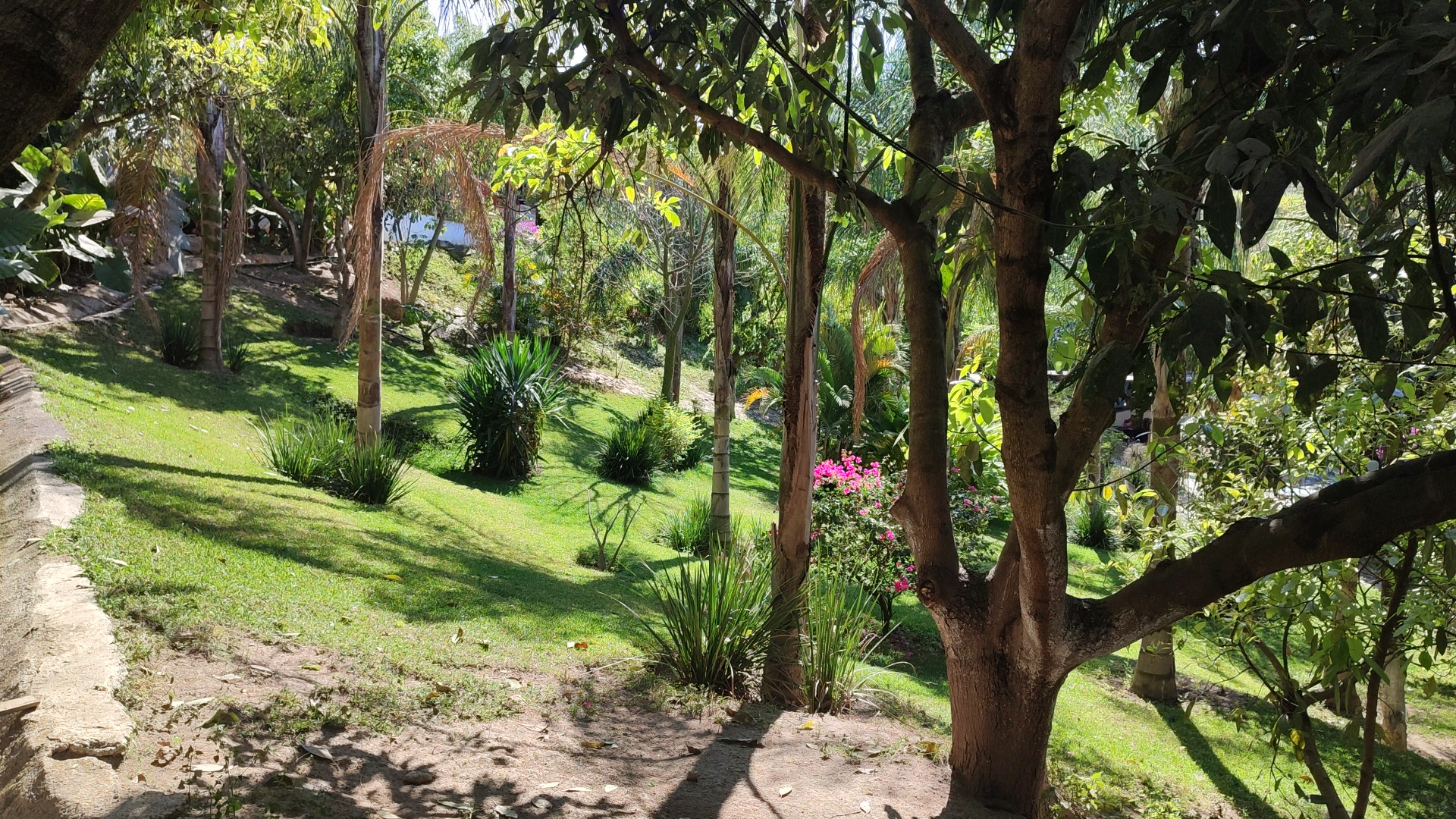 De la leña Campestre image 5