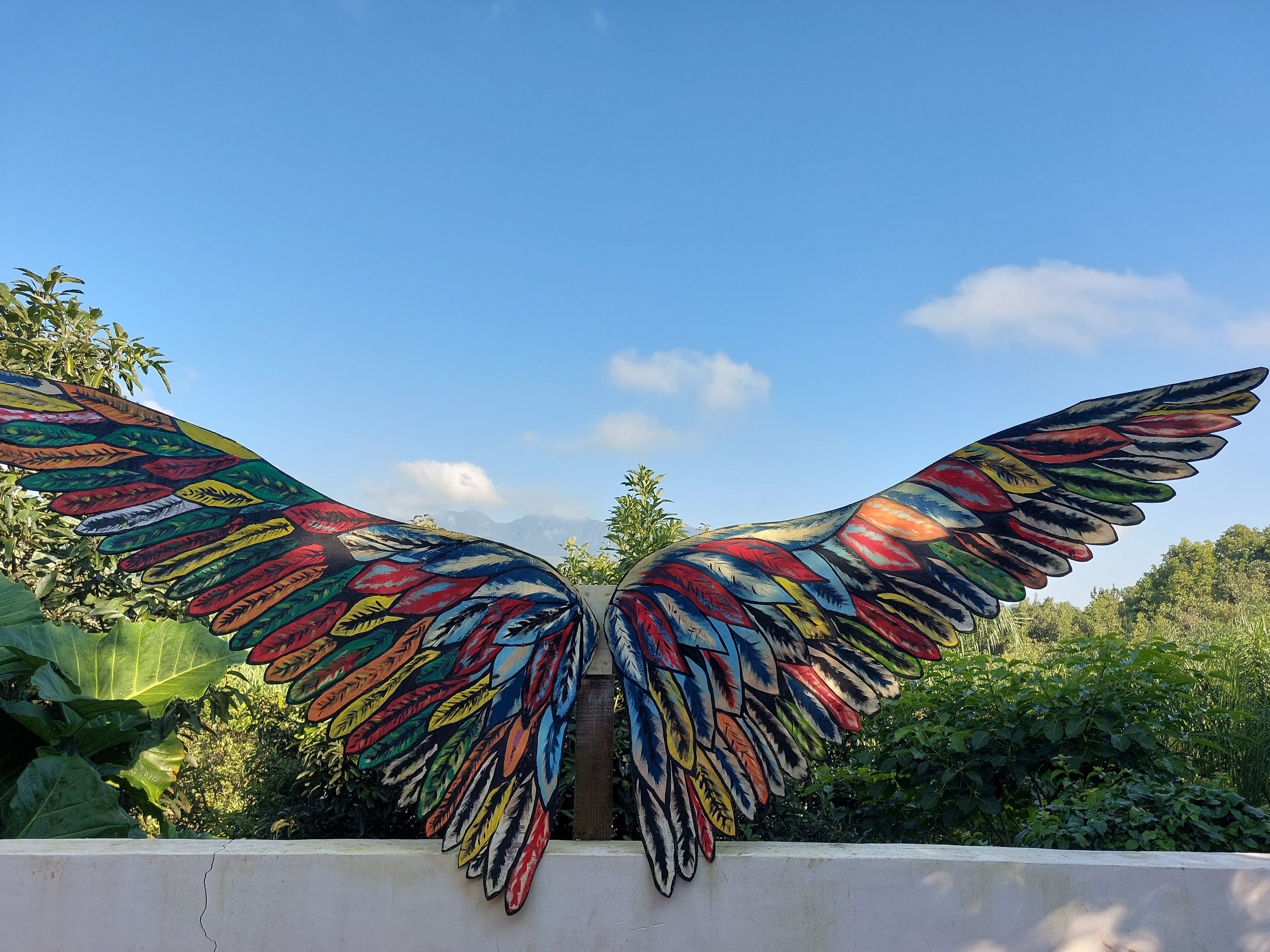 De la leña Campestre image 7