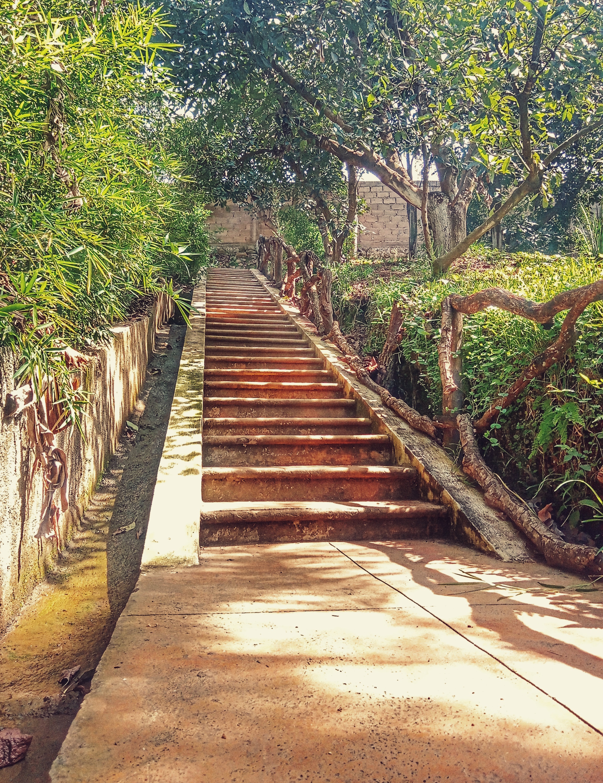 De la leña Campestre image 8