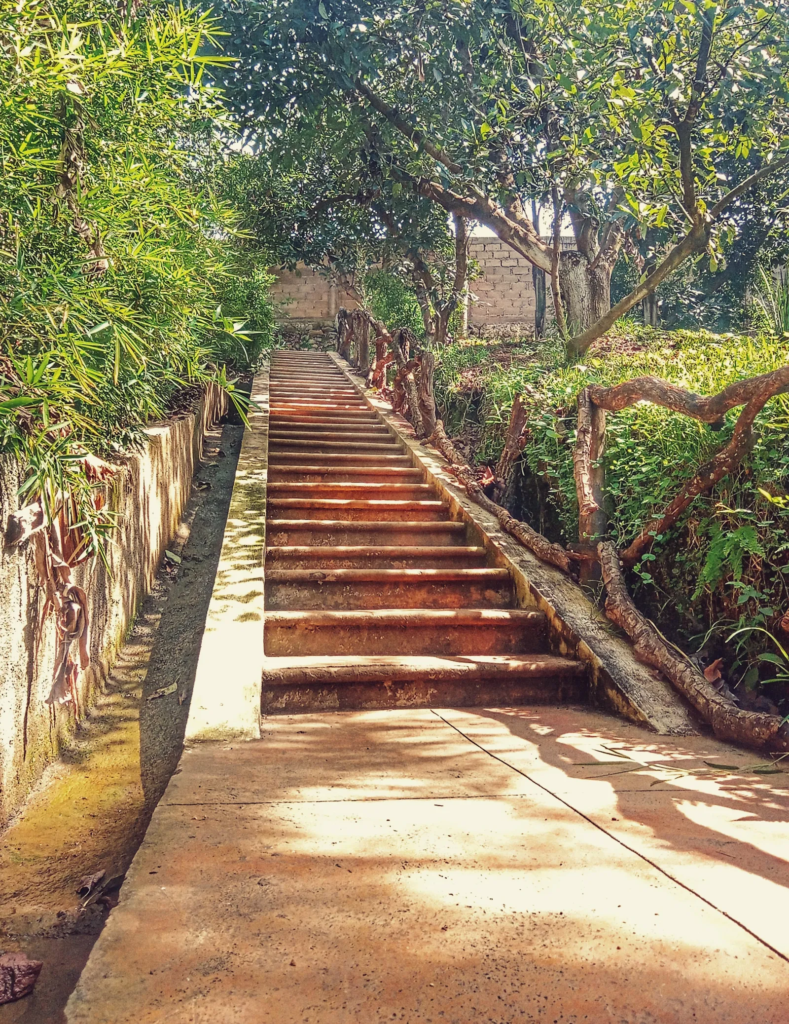 De la leña Campestre image 8