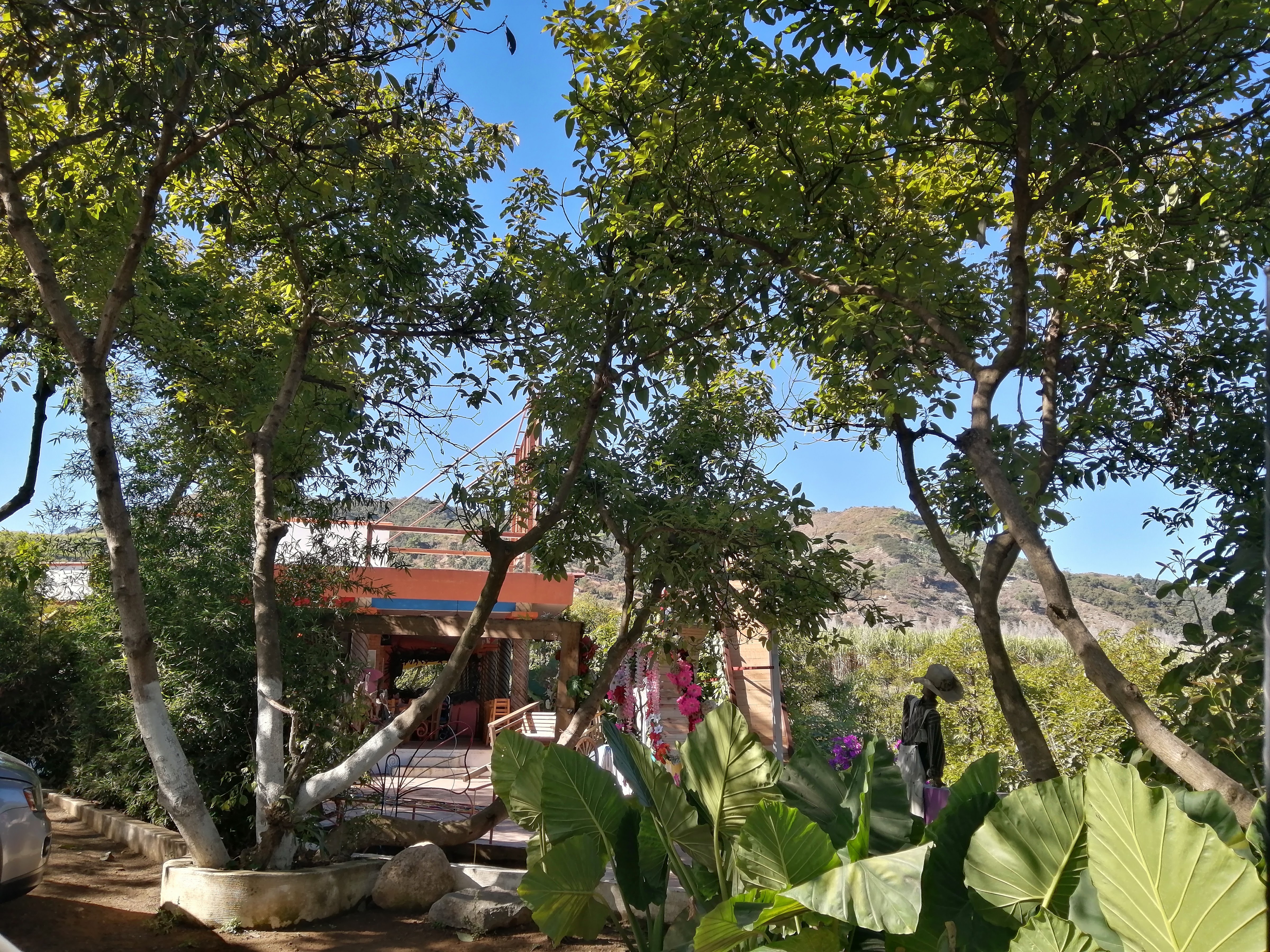 De la leña Campestre image 9