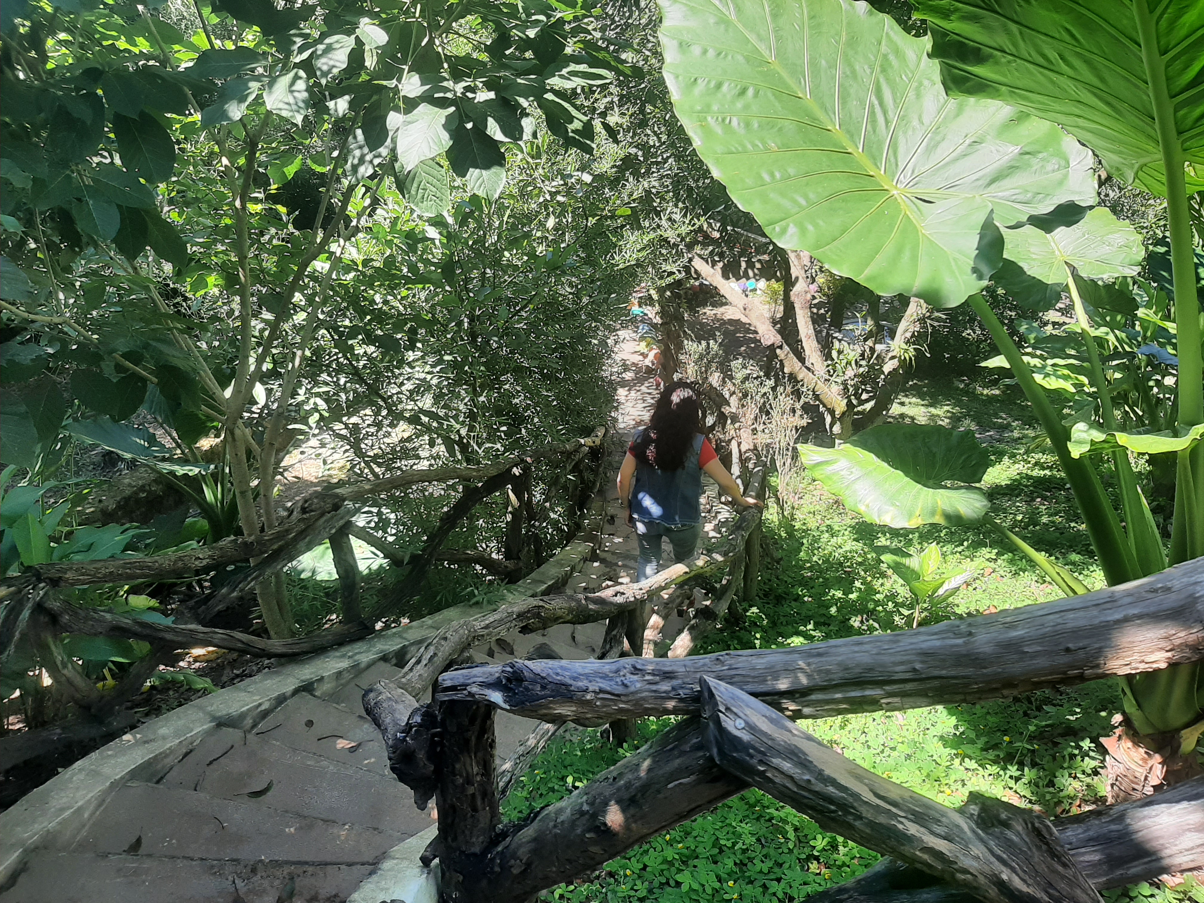 De la leña Campestre image 10