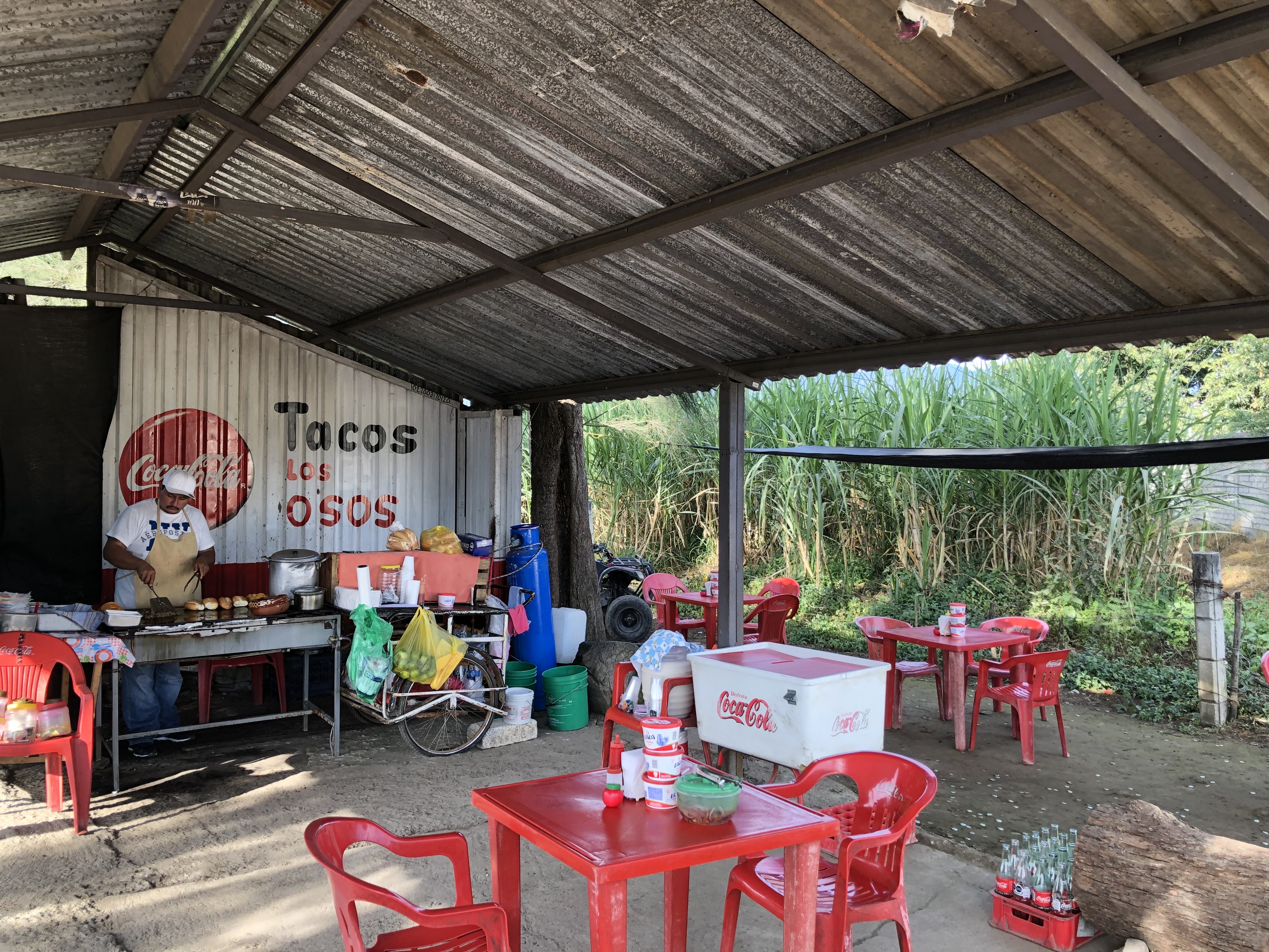 Tacos Los osos image 1