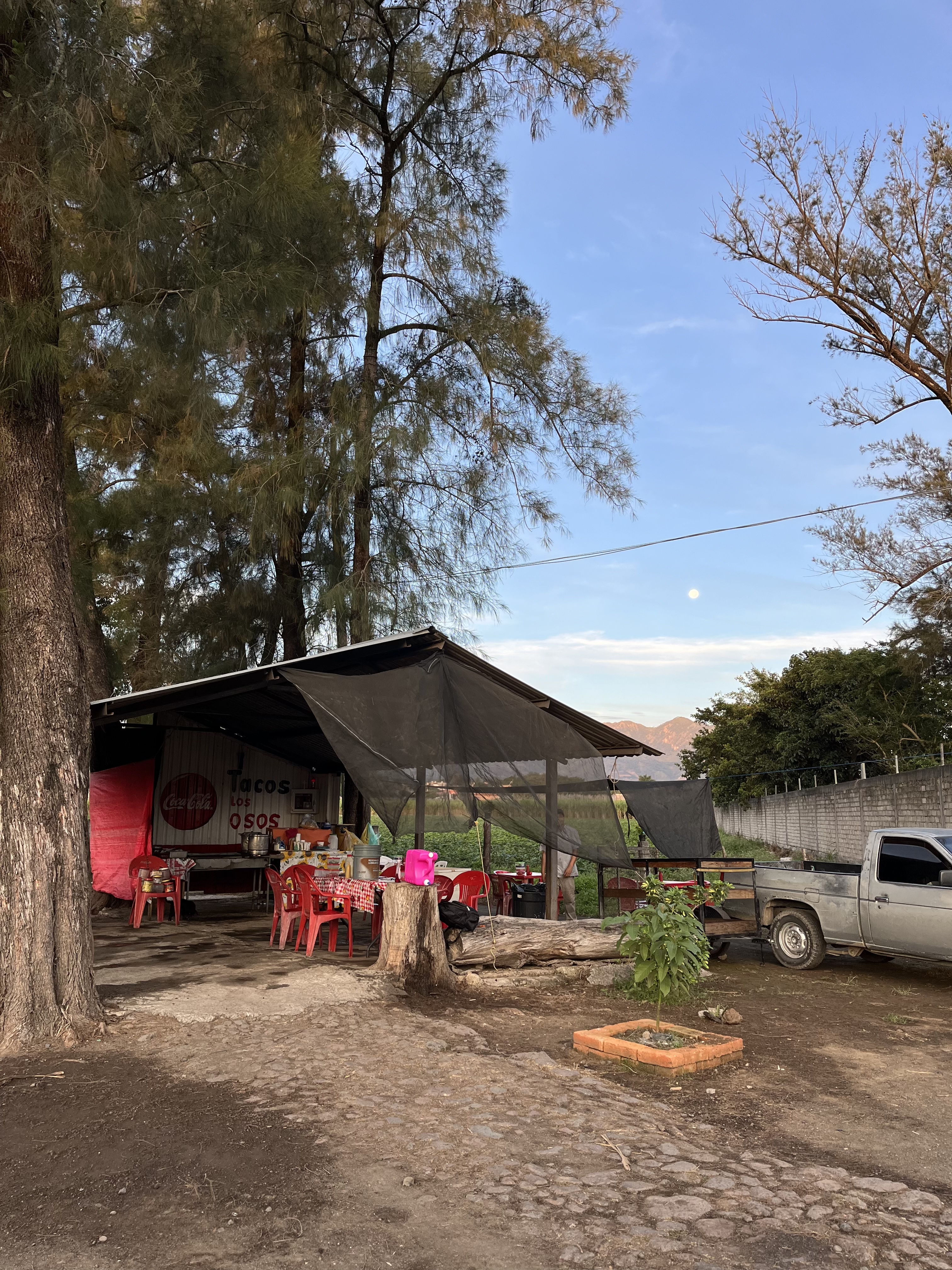 Tacos Los osos image 3