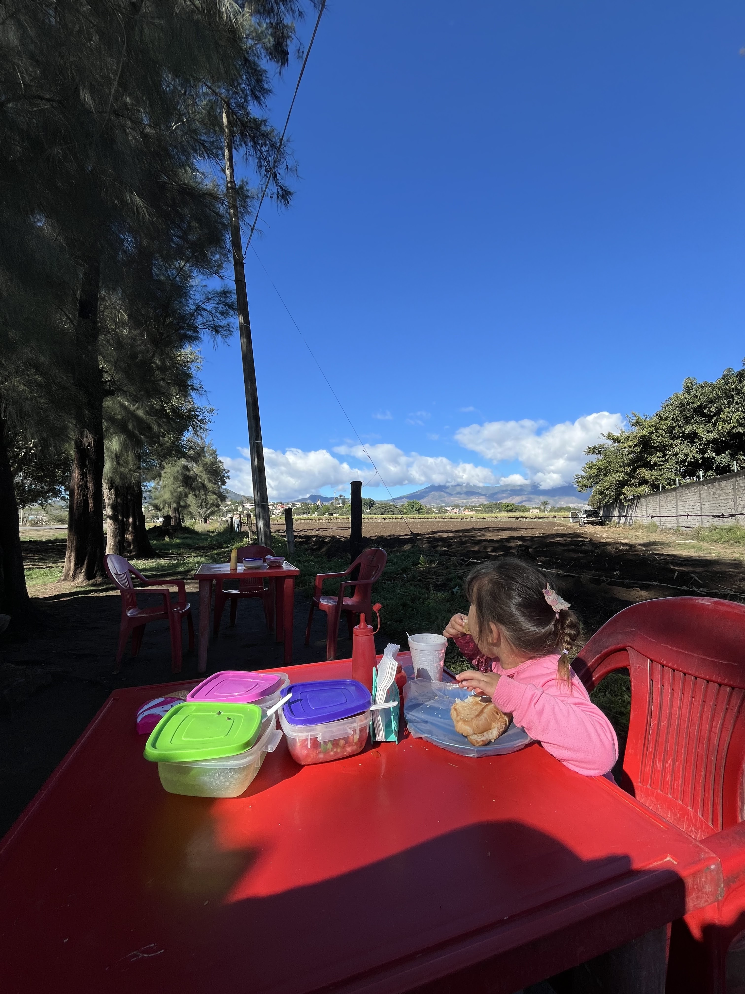 Tacos Los osos image 5