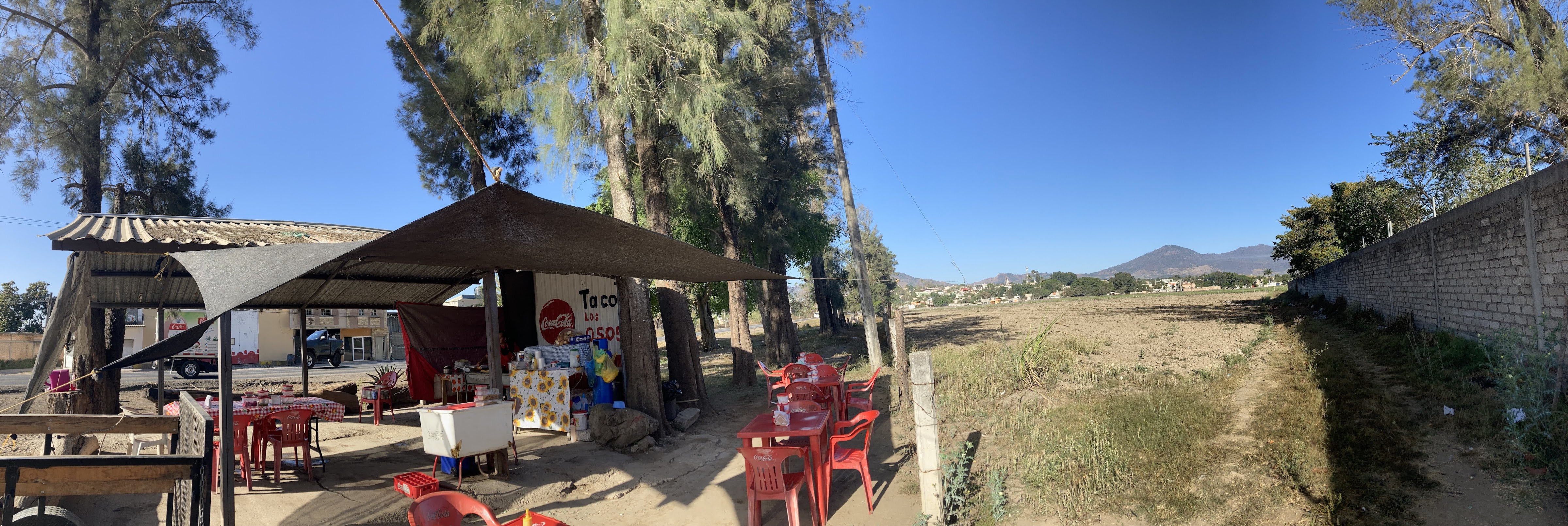 Tacos Los osos image 7