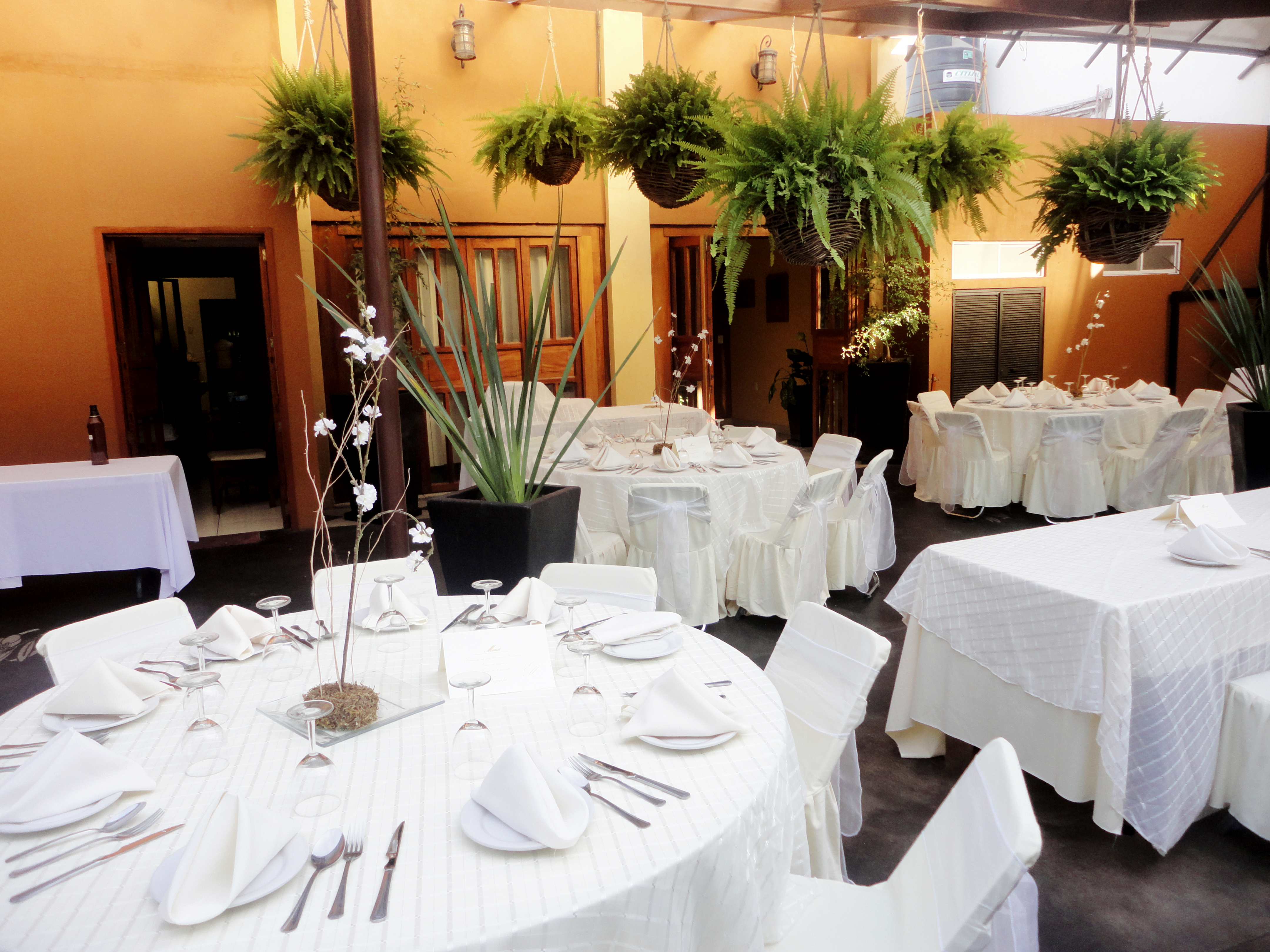 Olives Fusion Restaurant image 1