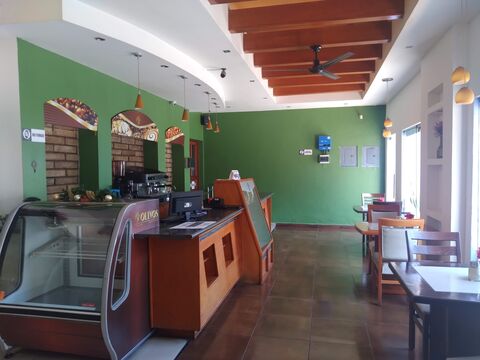 Olives Fusion Restaurant image 7